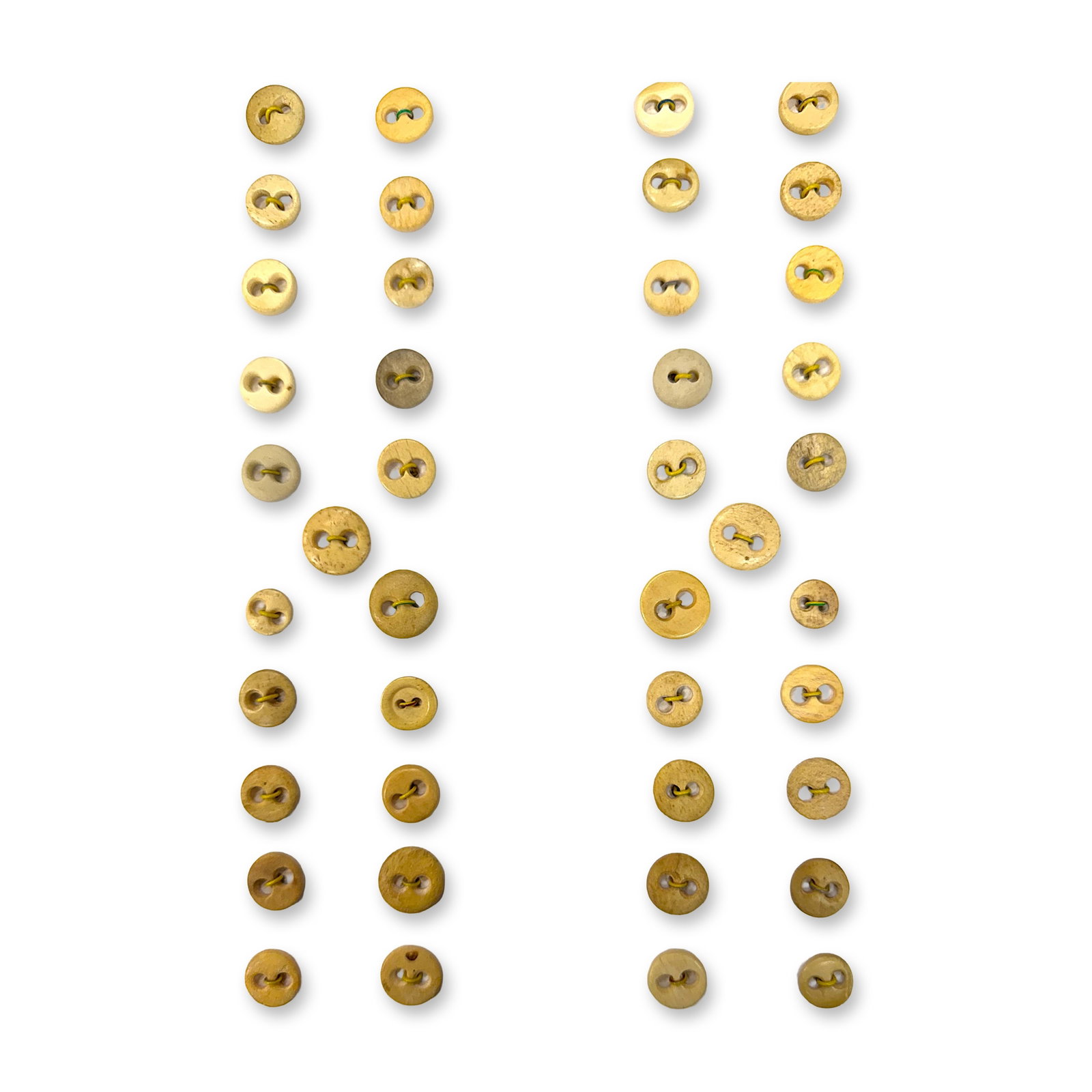A SELECTION OF DIVISION ONE BONE UNDERWEAR BUTTONS: 6 Cards of 19th century sew thru examples in small size These 6 cards were compiled by the late Don Lanier of Florida and are buttons that many crafters love to use to paint faces on. Lots of