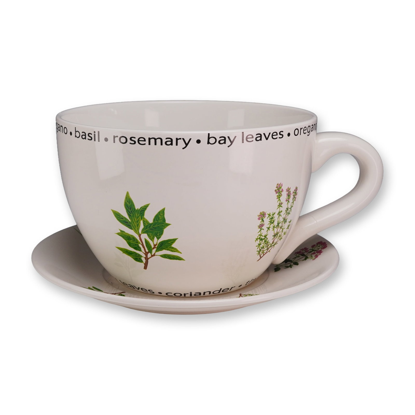 Large Ceramic Herb Motif Teacup and Saucer Planter (1 of 4)