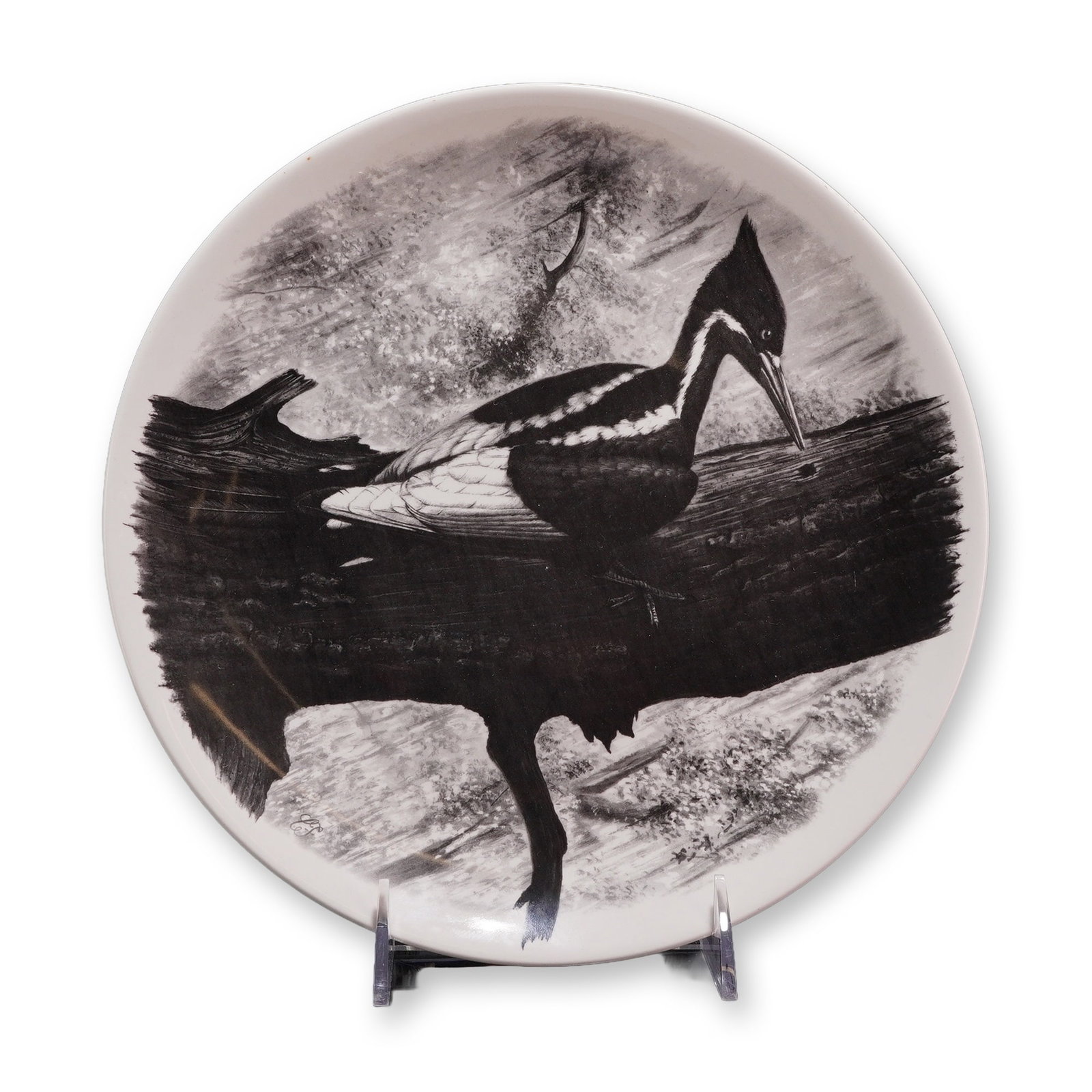 Wedgwood American Birds Design Black and White Ceramic Trial Plate: Produced by Wedgwood, this fine white ceramic display plate features a monochromatic black and white illustration from the American Birds series. The central motif depicts a Pileated Woodpecker perche