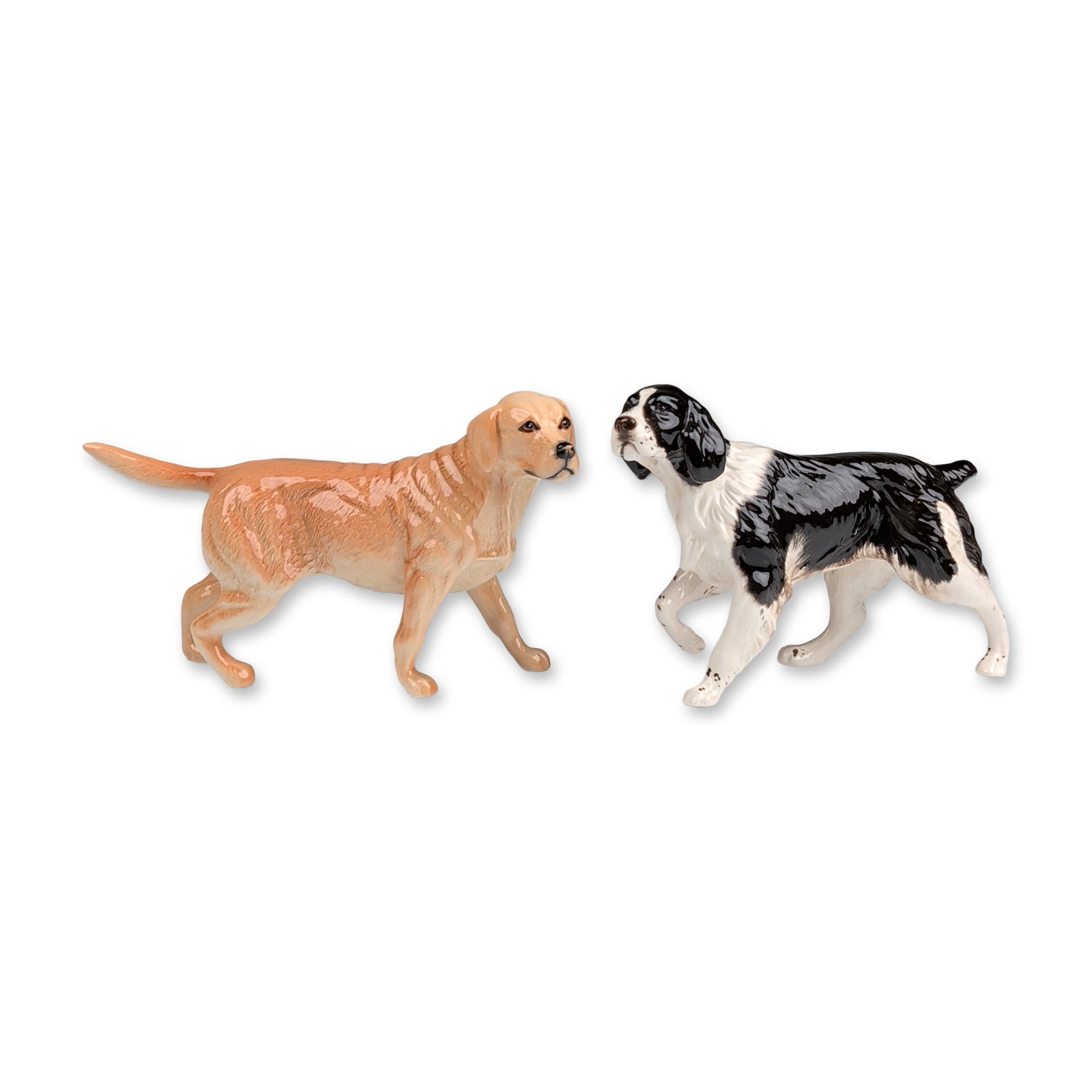 2pc Royal Doulton Porcelain Labrador and Springer Spaniel: Royal Doulton. Pair of standing dog figurines in glazed porcelain, featuring a yellow Labrador Retriever and a black and white Springer Spaniel. The Labrador is modeled in a pale tan glaze with subtle