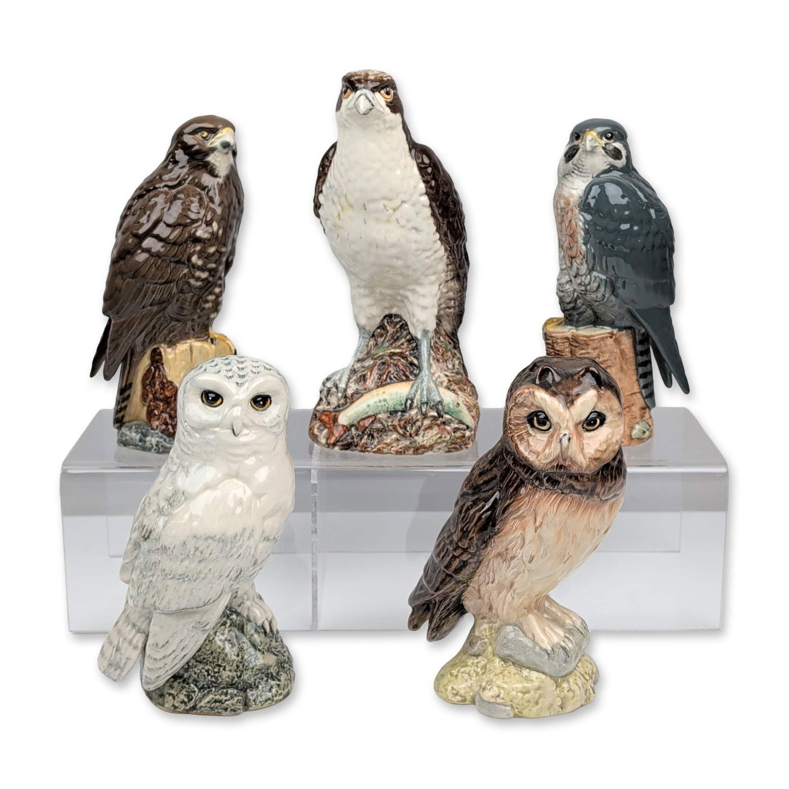 5pc Royal Doulton Whyte & Mackay Bird Decanter Collection: Royal Doulton for Whyte & Mackay. Collection of polychrome glazed ceramic bird of prey whisky decanters, featuring naturalistically modeled forms of an Osprey, Snowy Owl, Tawny Owl, Buzzard, and Pereg