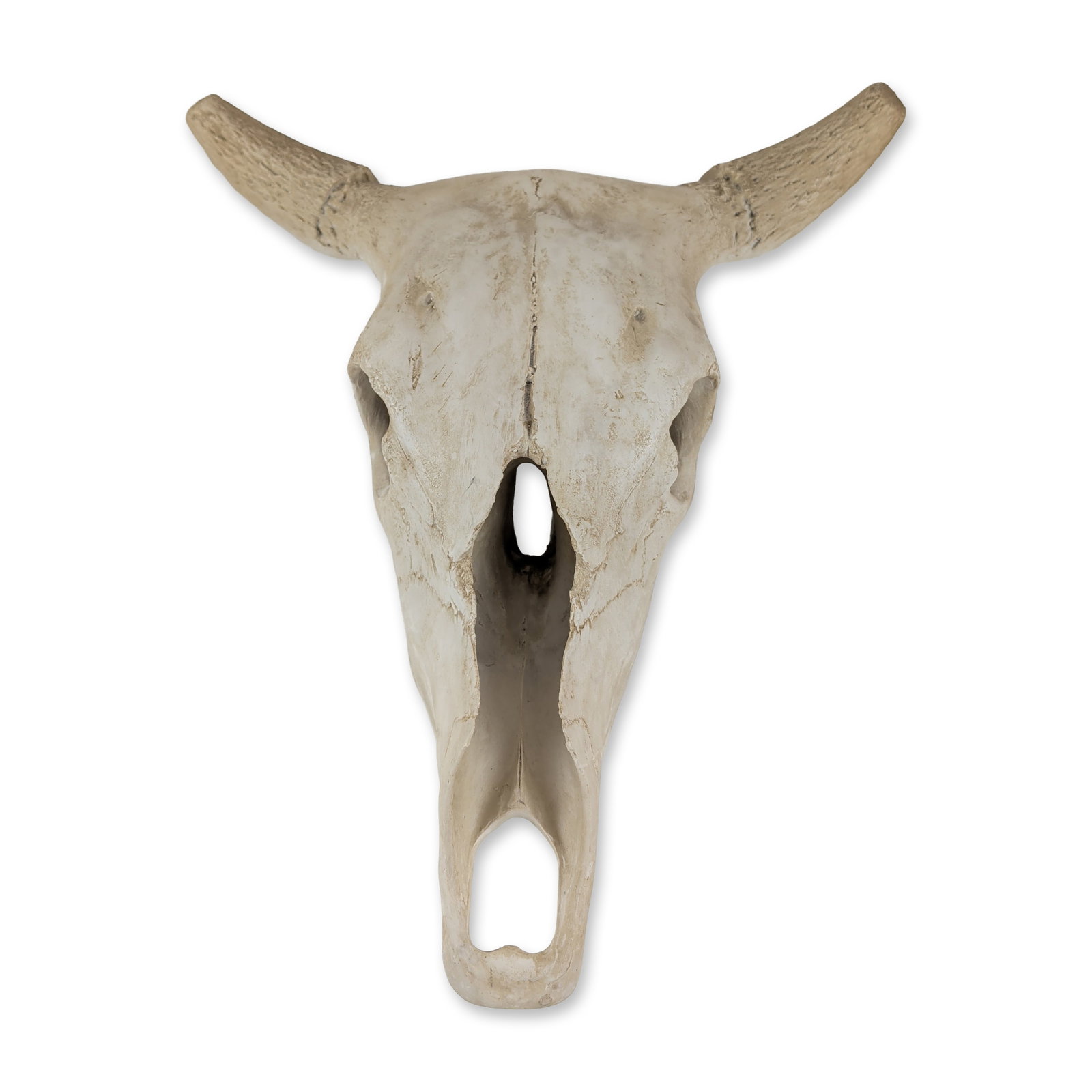 Faux Taxidermy Weathered Bison Skull Wall Decor " Rustic Resin Buffalo Mount: This rustic, faux-taxidermy bison skull sculpture is a striking western decorative accent molded from durable cast resin to simulate a naturally weathered bone specimen. American Bison (Bison bison) s