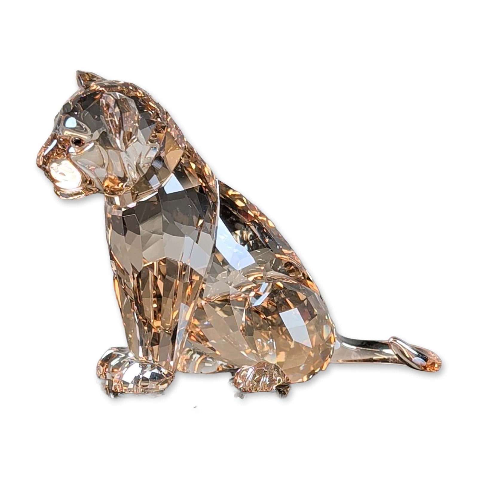 Swarovski SCS Crystal 2016 Figurine, Lion Cub (1 of 6)