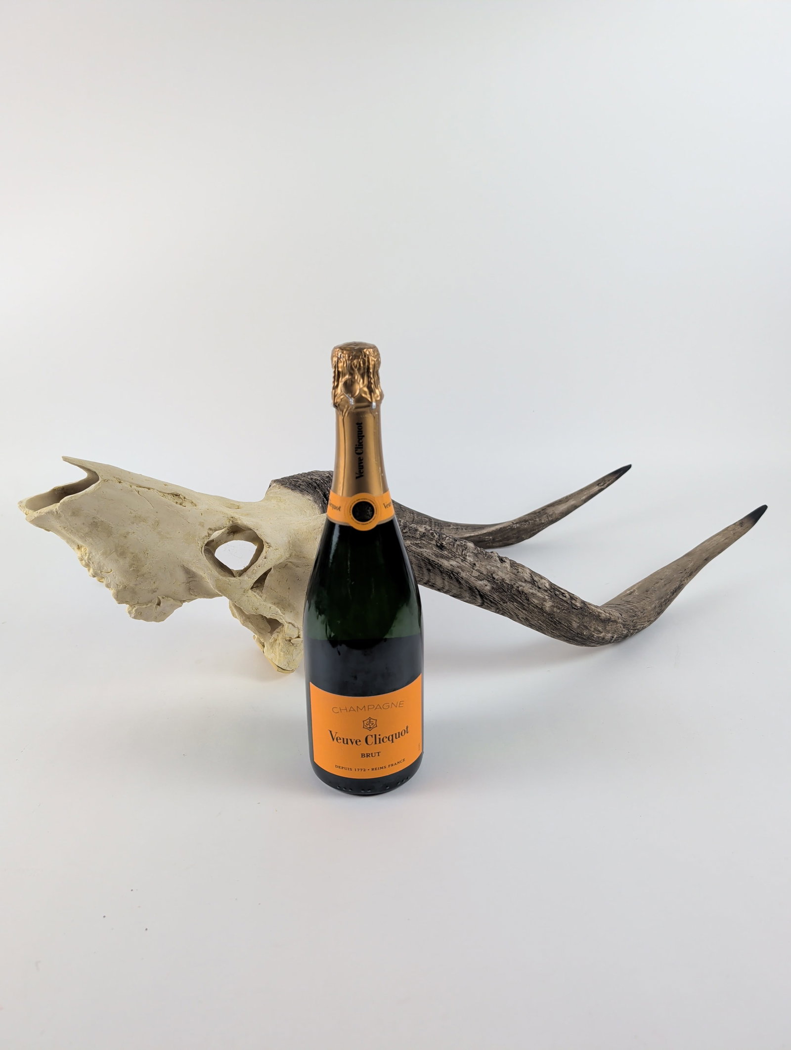 Deer Skull Trophy Wall Mount - 10