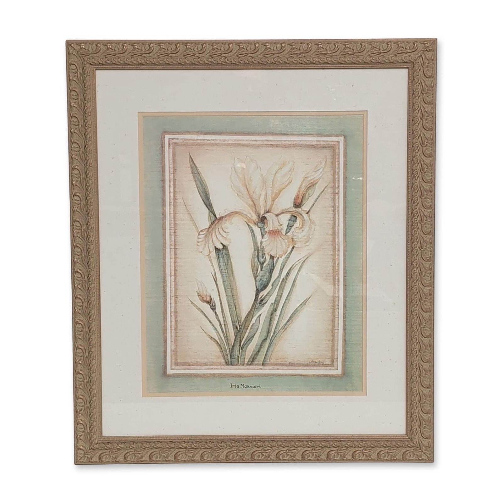 Colleen Bery for The Bombay Co., Print on Paper, Iris Monnieri Framed: The Bombay Company, Colleen Berry 'Iris Monnieri'. Decorative botanical print on paper support, depicting irises in a palette of cream and muted greens. Signed Colleen Bery lower right and inscribed