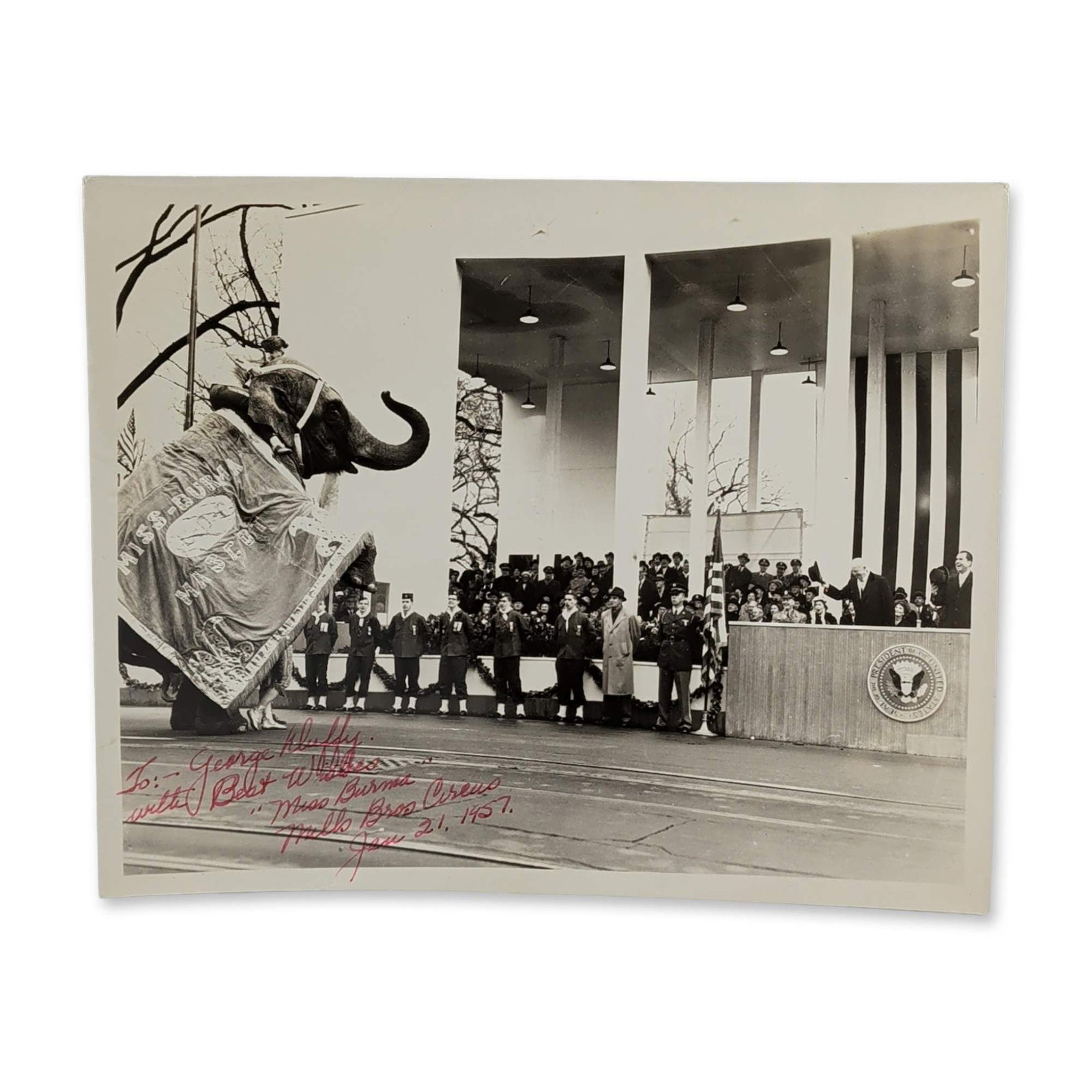 1957 Eisenhower Inaugural Parade Miss Burma Elephant Photograph: Vintage silver gelatin print depicting Miss Burma, an Asian elephant from the Mills Bros. Circus, during the second inaugural parade for President Dwight D. Eisenhower in Washington, D.C. The elephant