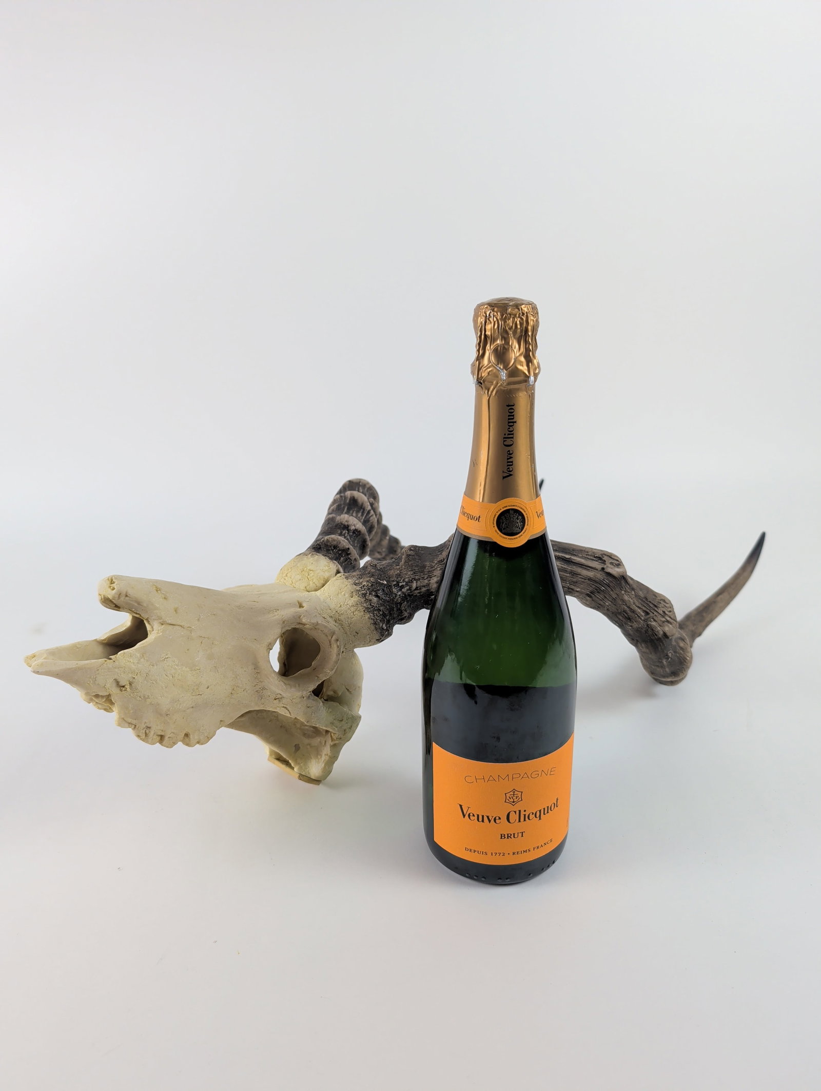 Deer Skull Mount - 5