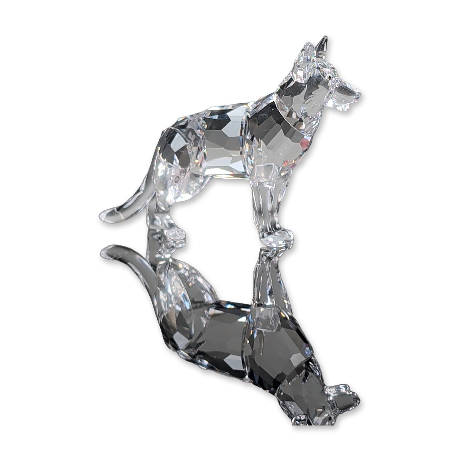 Swarovski Crystal Dog Figurine, German Shepherd: Standing dog figurine in faceted clear lead crystal, featuring pointed ears and a short tail. Accompanied by the original cylindrical grey branded packaging with swan logo motif. Model number 235484. 