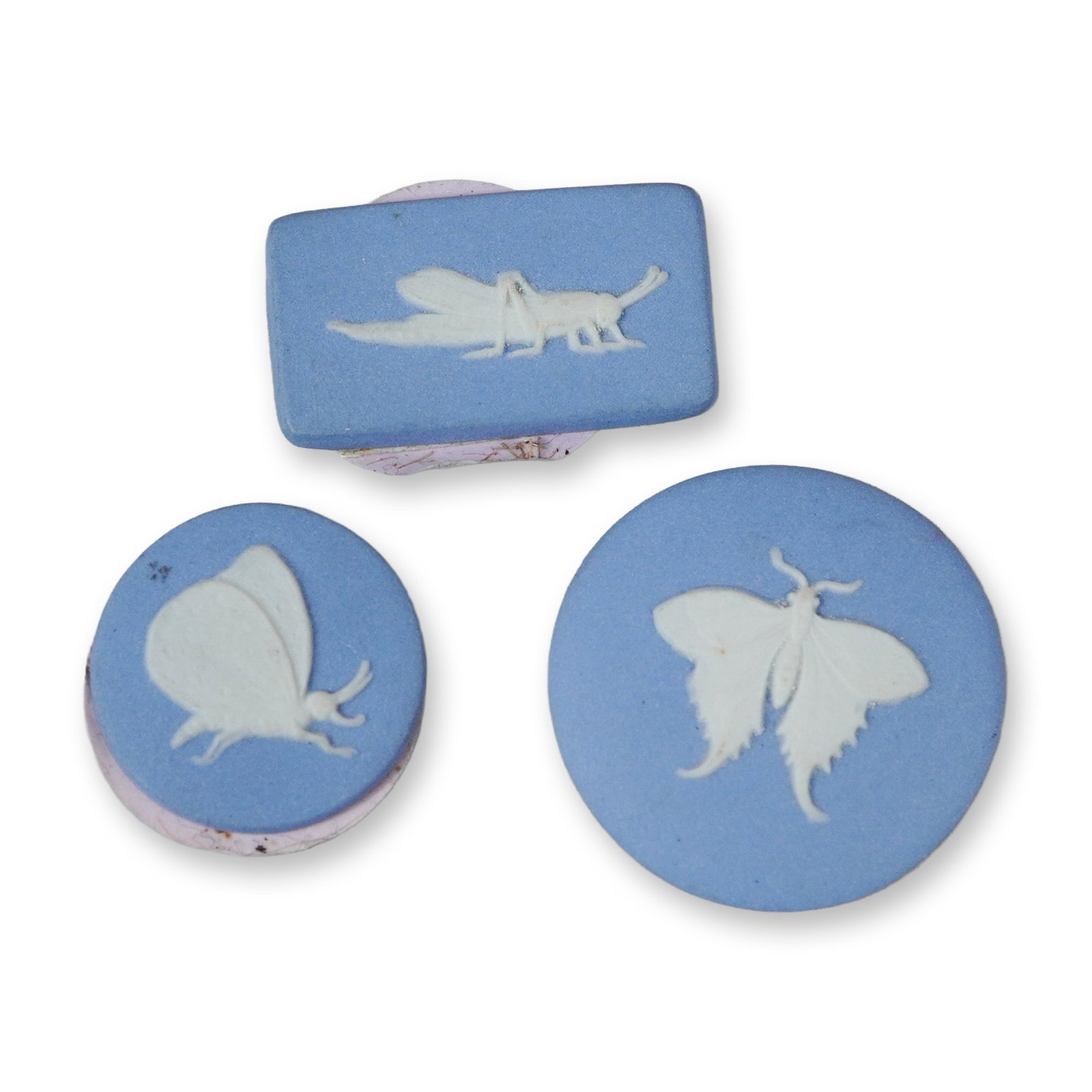 3pc Jasperware Entomological Plaques and Medallions: A trio of unglazed stoneware items in the jasperware style, featuring white bas-relief entomological motifs against a light blue matte ground. The collection consists of one rectangular plaque