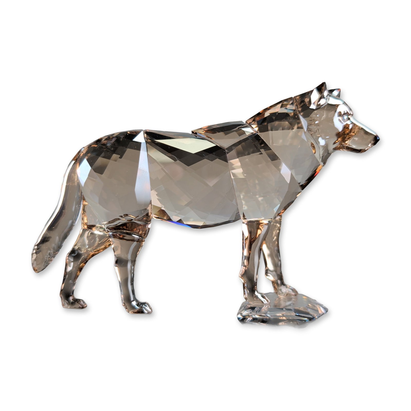 Swarovski SCS Golden Shadow Crystal Gray Wolf Figurine (1 of 4)