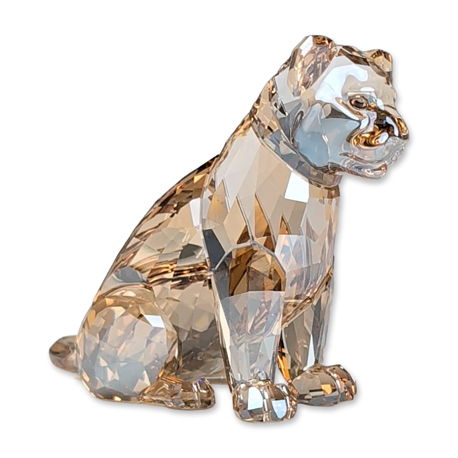 Swarovski SCS Golden Shadow Crystal Lion Cub Figurine (1 of 5)