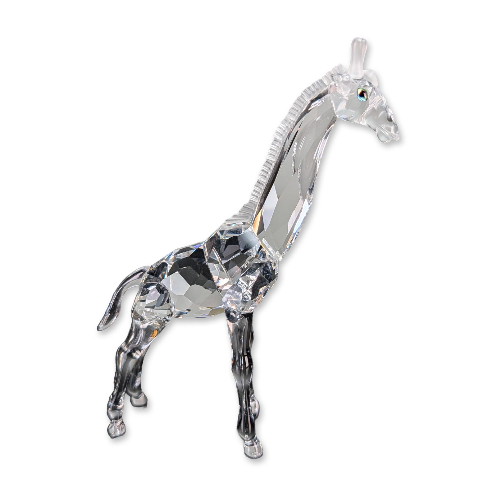 Swarovski Crystal Baby Giraffe Figurine from the African Wildlife collection: Swarovski crystal figurine titled Baby Giraffe from the African Wildlife collection. The piece is constructed from clear faceted lead crystal with a textured mane, smooth-finished neck and legs, and s
