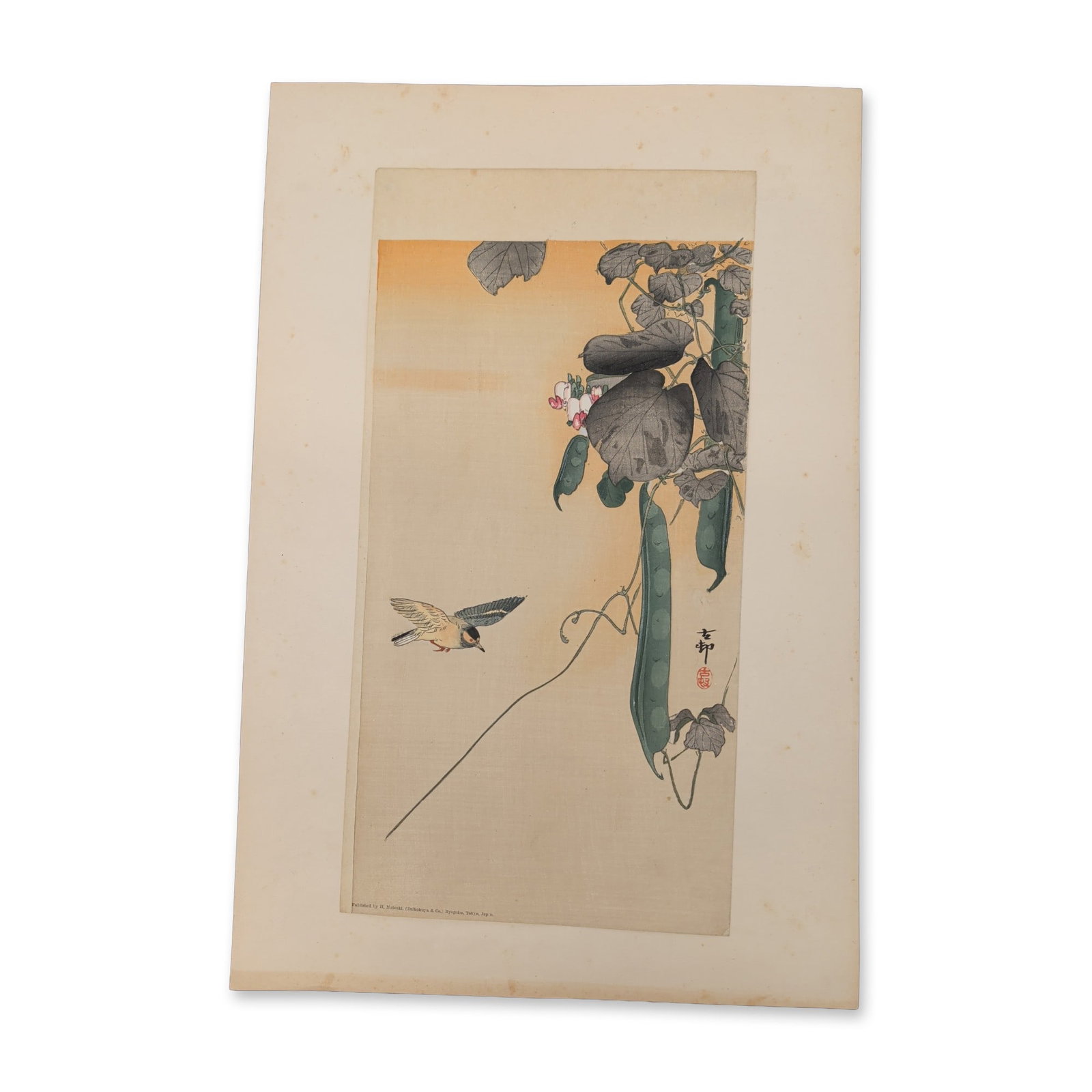 Ohara Koson (Japanese, 1877-1945) Bird at Flowering Bean Plant Woodblock Print: A sparrow glides downward through open air toward a sprawling vine laden with broad leaves, pink blossoms, and elongated green seed pods hanging from delicate tendrils. This 20th-century kacho-e desig