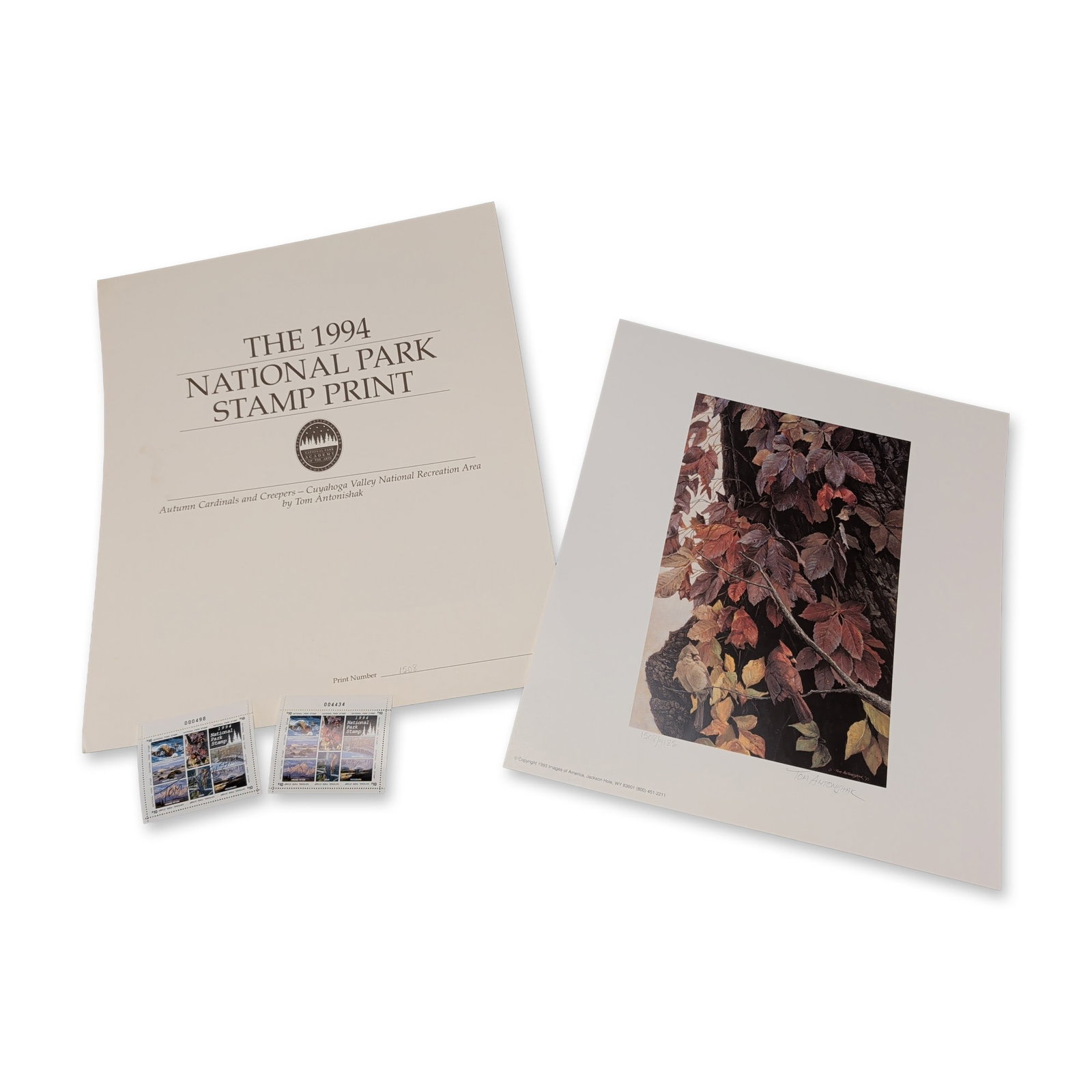 Tom Antonishak, Signed "Autumn Cardinals and Creepers" 1994 National Park Stamp Print (1 of 5)