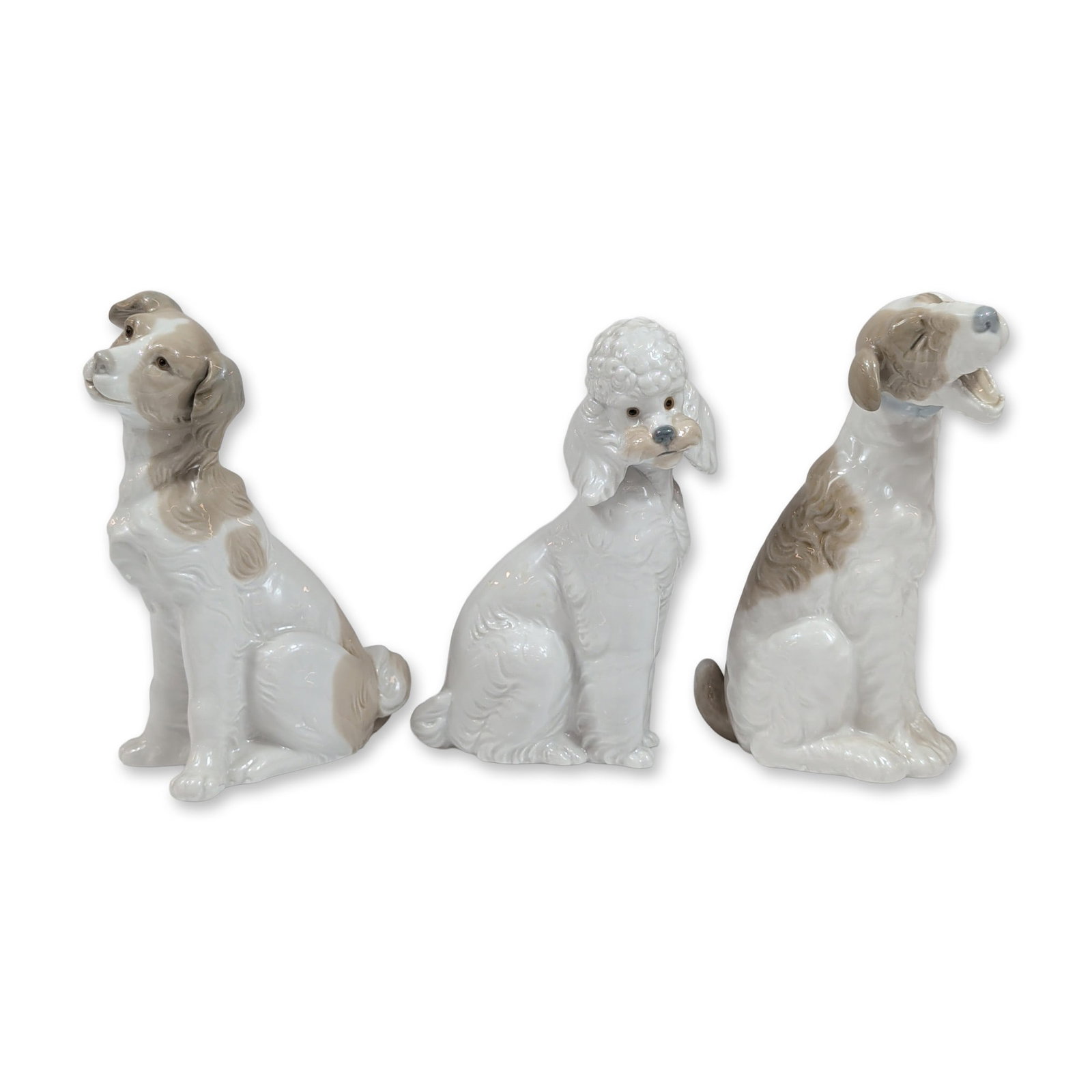 Trio of Nao by Lladro Spanish Porcelain Dog Figurines: Nao by Lladro, handmade in Spain. Trio of glazed porcelain dog figurines including one white poodle with a textured, curly coat and two spaniel or pointer-type dogs with tan patches. The spaniel figur