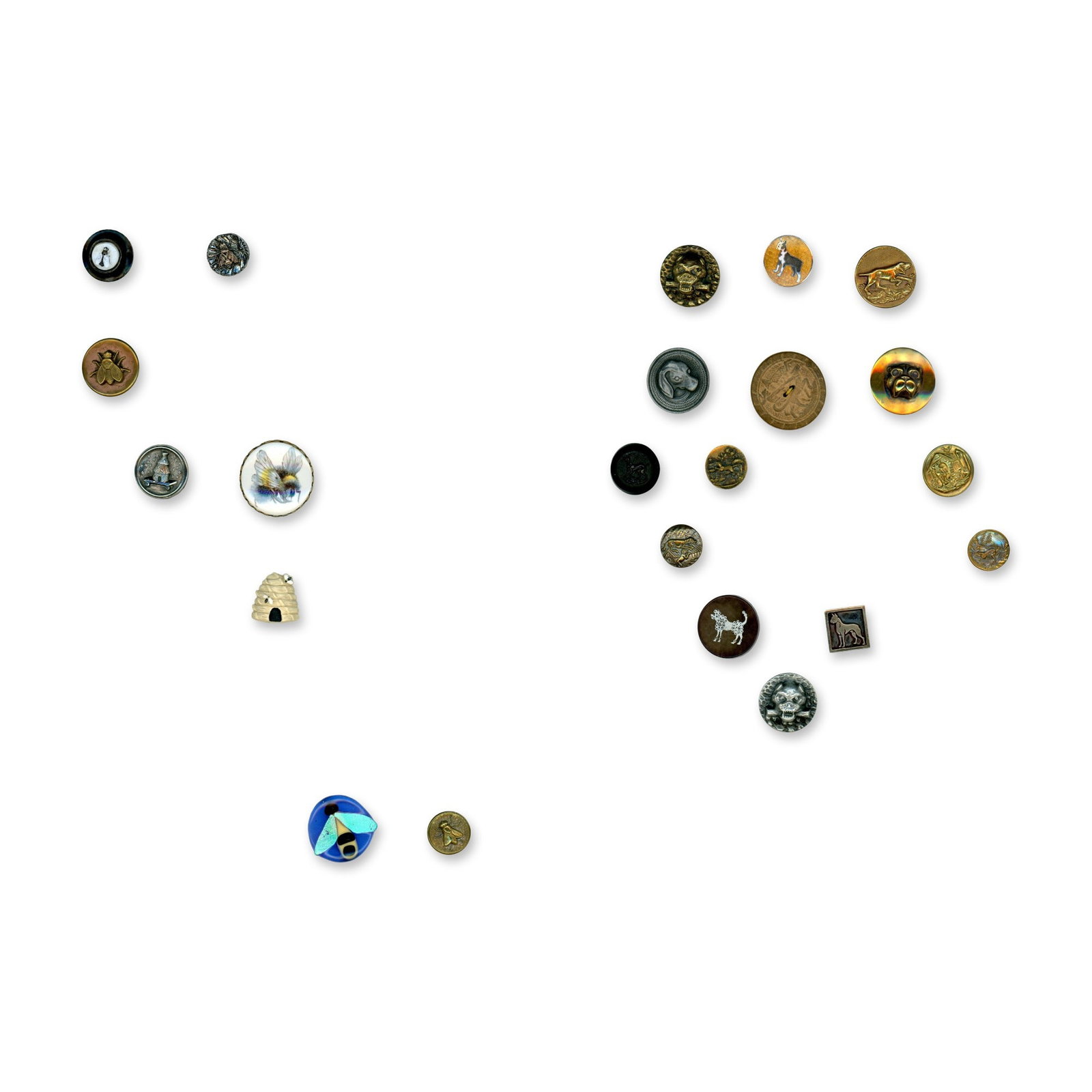 2 CARDS OF DIVISION 1 & 3 ANIMAL LIFE BUTTONS (1 of 3)