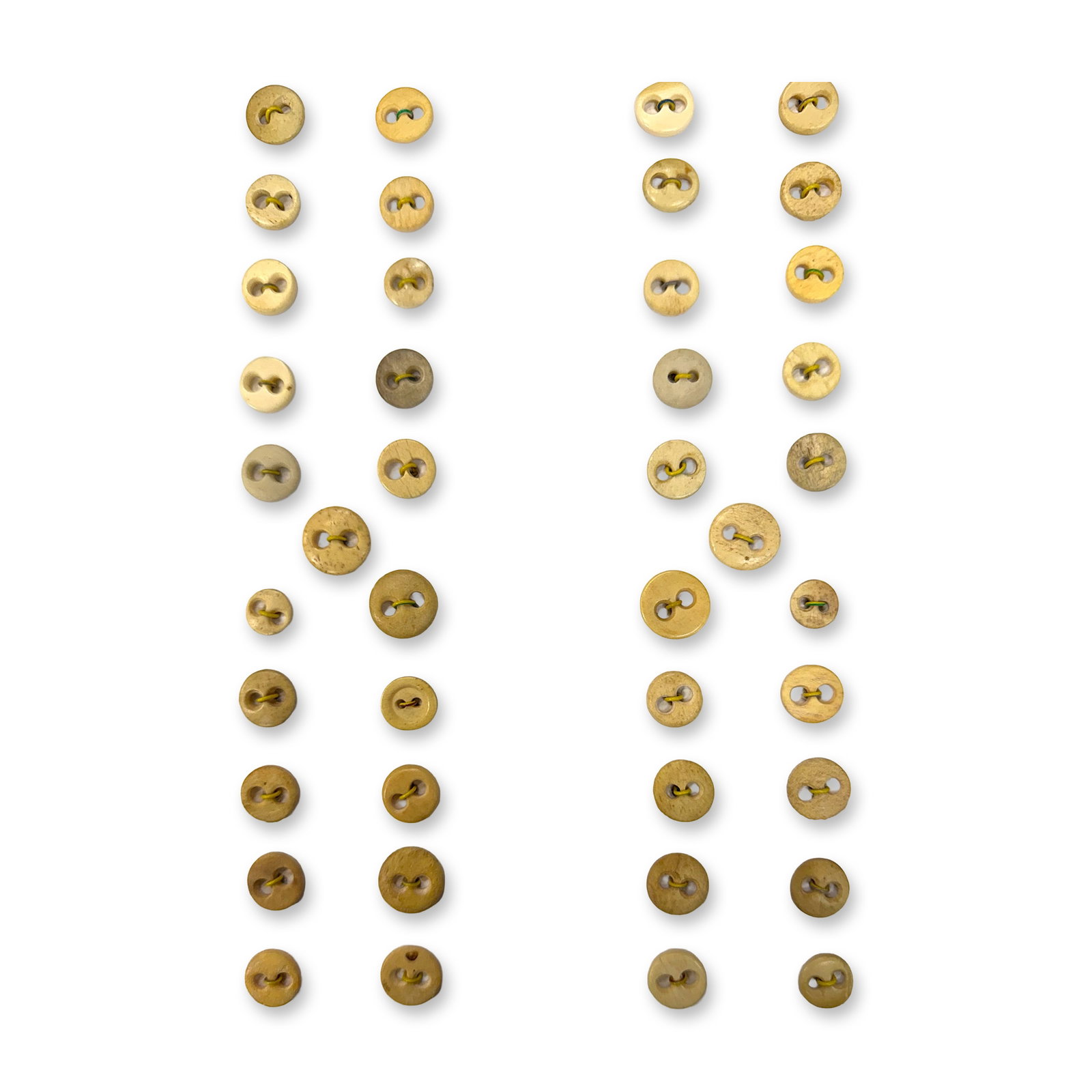 A SELECTION OF DIVISION ONE BONE UNDERWEAR BUTTONS (1 of 2)