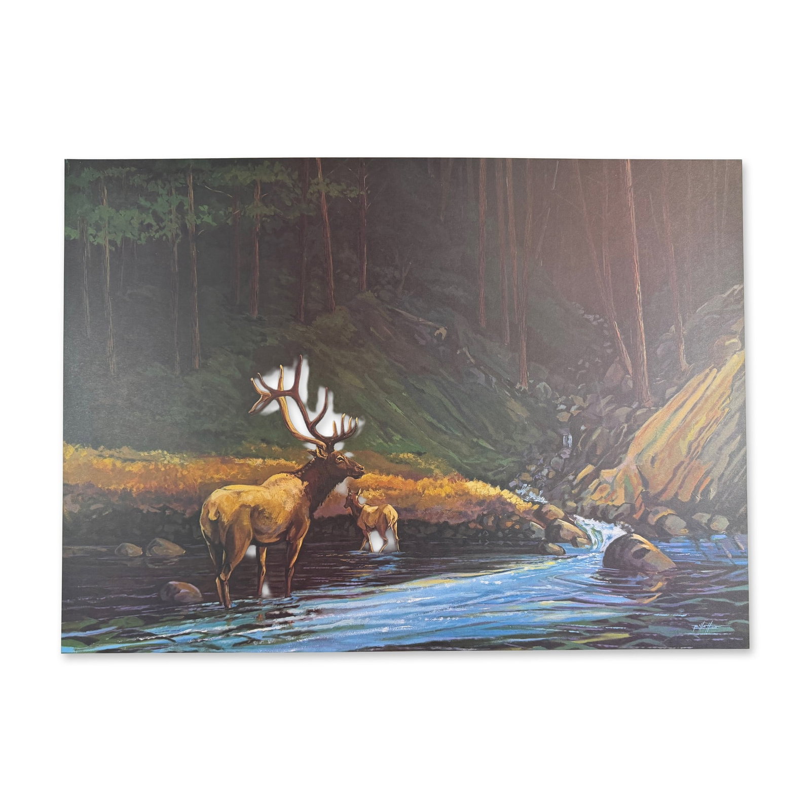Bill Elliott (1945-) Lithograph, The Old Bull Signed: Lithograph Titled The Old Bull Signed bottom right Numbered 164/500. Year 1977 Sight size 32" x 24" Dimensions: See Description.