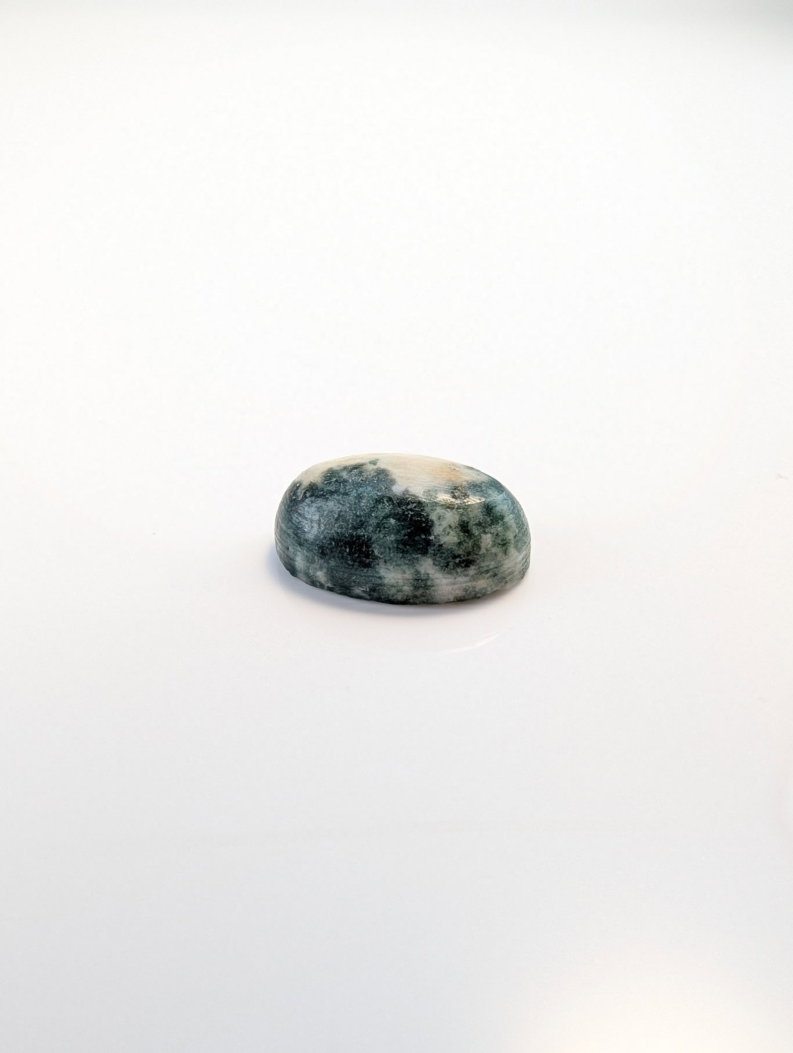 Oval Tree Agate Cabochon Gemstone - 2