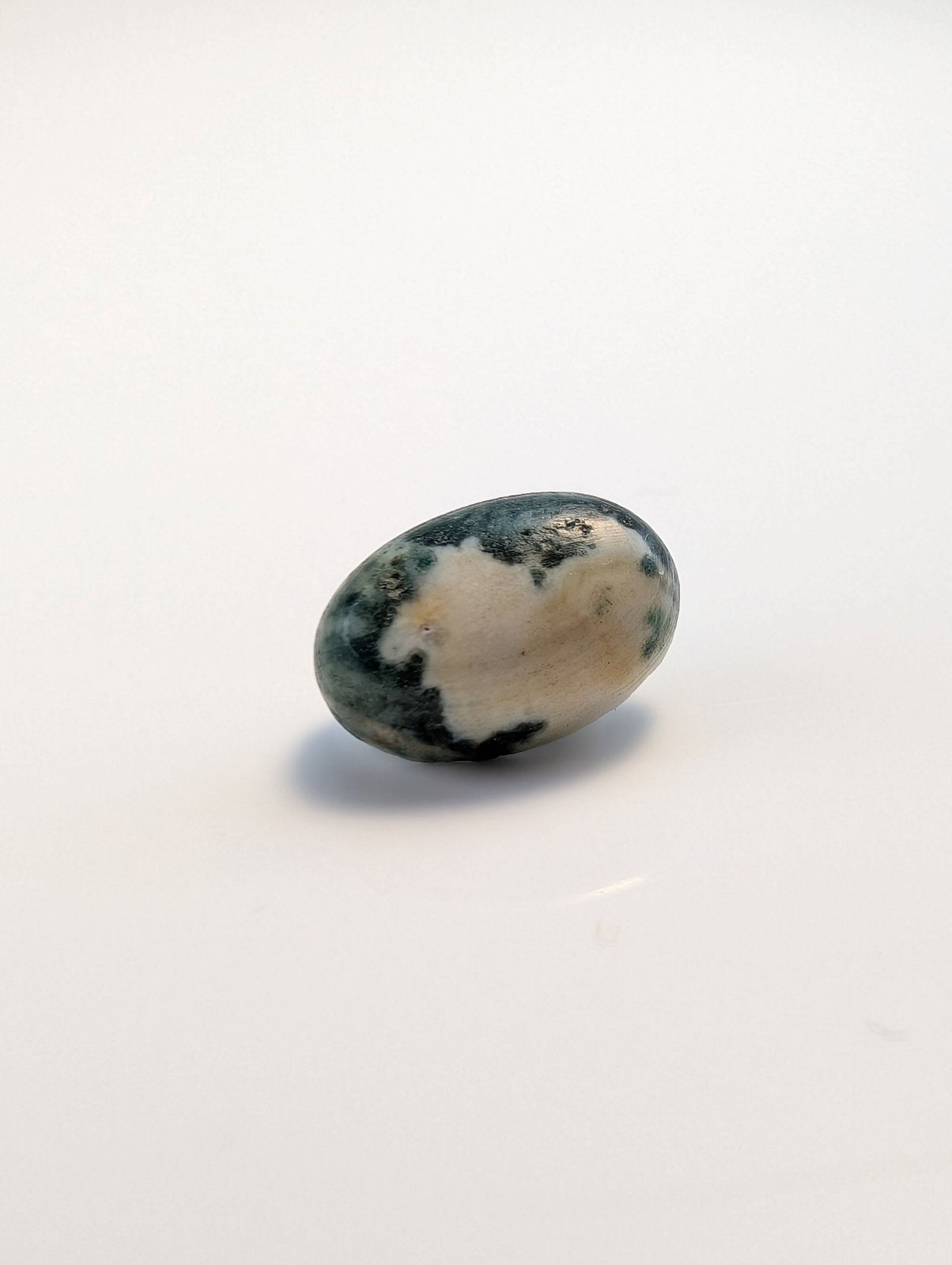 Oval Tree Agate Cabochon Gemstone - 3