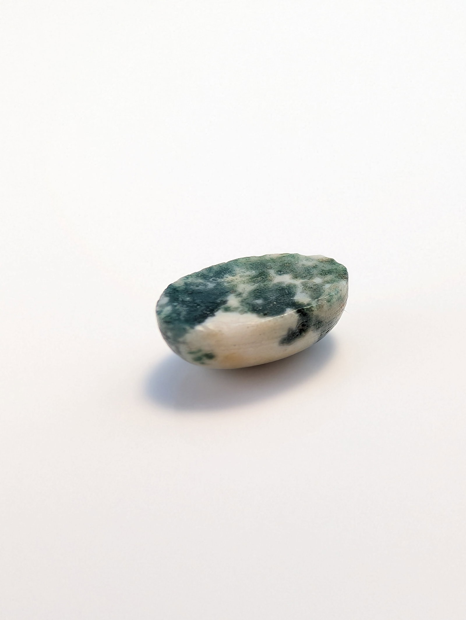 Oval Tree Agate Cabochon Gemstone - 4