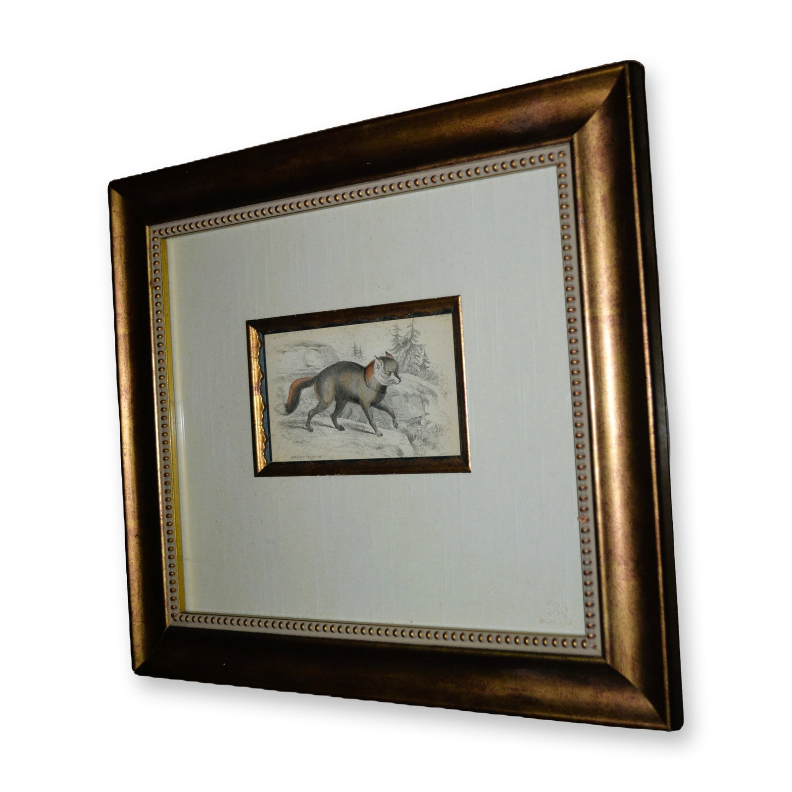 Lizars American Cross Fox, Hand Colored Engraving, Custom Frame, 19th C: Lizars, American Cross Fox, Hand Colored Engraving, 19th C. Featuring an American Cross Fox, Standing. Lizars Study. Col. H. Smith, Engraver. Ivory Museum Matting. Custom Frame Goldish Bronze with Red