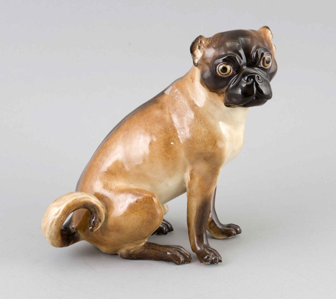 Sitzender Mops, Meissen, 19 (1 of 1)
