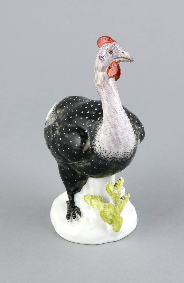 Perlhuhn, wohl (1 of 1)