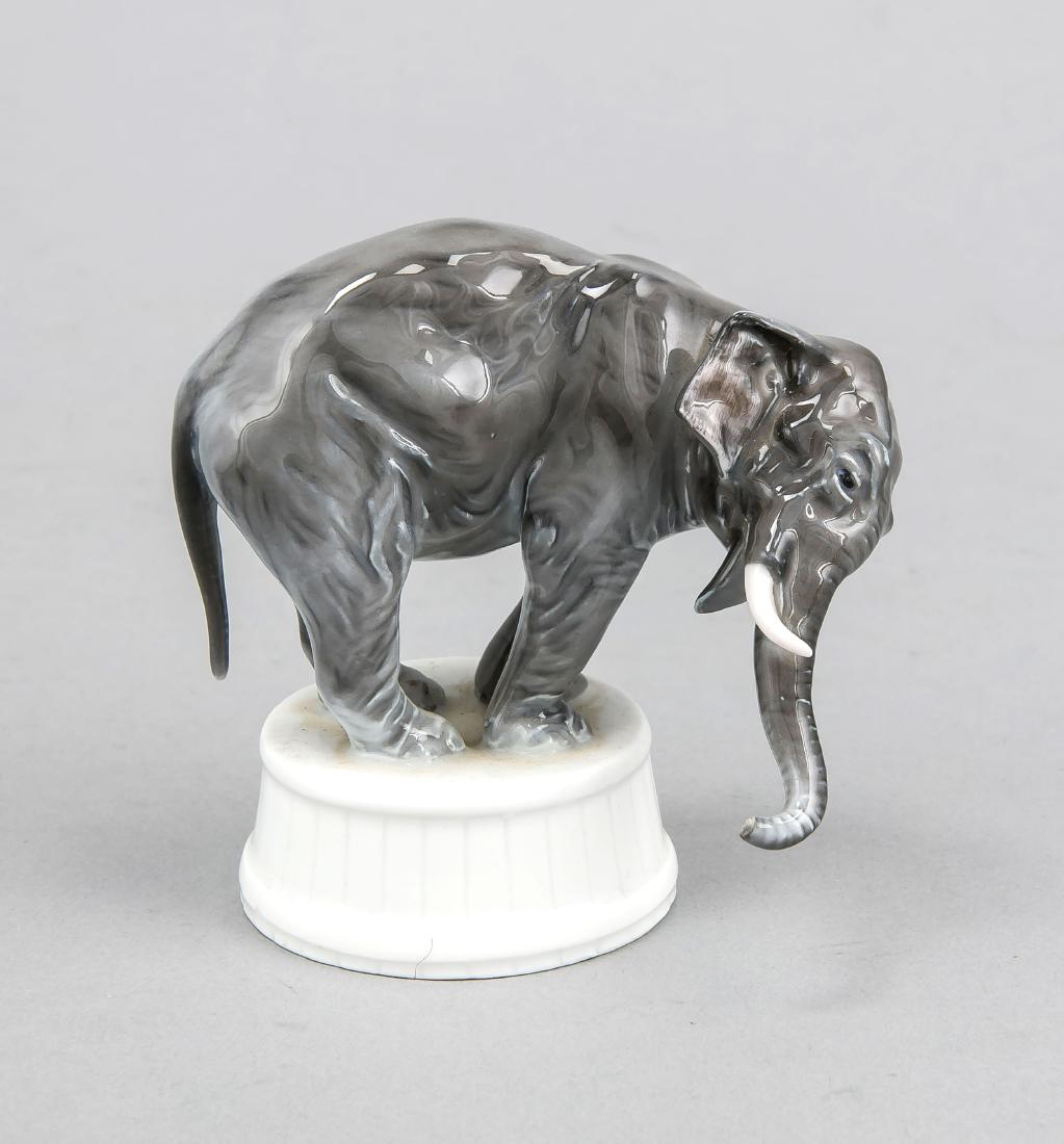 Elephant on pedestal, Rosenthal, Selb, 1920s, designed: Elephant on pedestal, Rosenthal, Selb, 1920s, designed by Fritz Diller (1875 - 1945Munich) in 1913, model no. 335, naturalistic painted in underglaze colors, h. 9 cm.