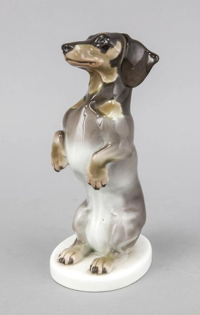 Dachshund, KPM Berlin, year letter for 1922, 1st (1 of 1)