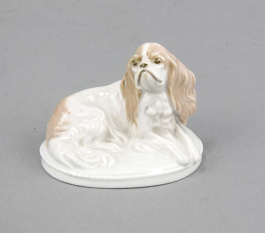 King Charles, Rosenthal, Art Department Selb-Bavaria,: King Charles, Rosenthal, Art Department Selb-Bavaria, mark for 1922-33, designed by FritzDiller (1875-1945) in 1913, signed in the pedestal, model no. K 287, sitting Pekingese on oval pedestal, natura