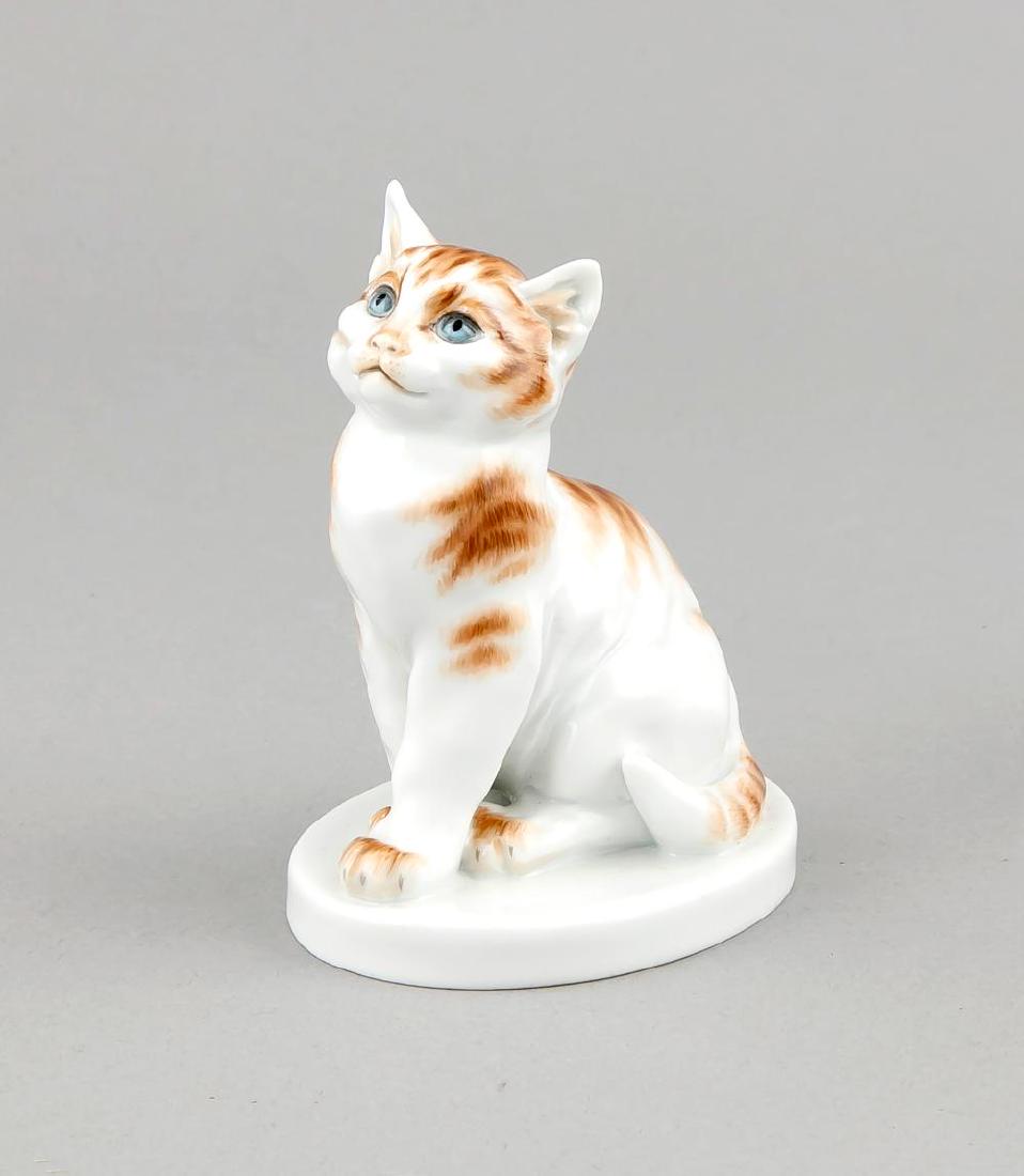 A young cat, Meissen, 21st century, designed by Erich: A young cat, Meissen, 21st century, designed by Erich Hösel in 1917, model no. 78850 (old no. V 173), slightly painted in naturalistic colors, on an oval base, h. 11.5 cm Description: A young cat