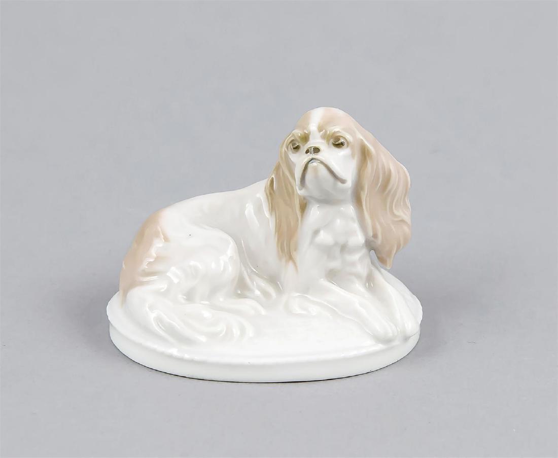 King Charles, Rosenthal, Kunstabteilung Selb-Bavaria,: King Charles, Rosenthal, Kunstabteilung Selb-Bavaria, Marke für 1922-33, Entwurf Fritz Diller (1875-1945) in Jahr 1913, im Sockel sign., Modellnr. K 287, sitzender Pekinese auf ovalem Sockel, nat