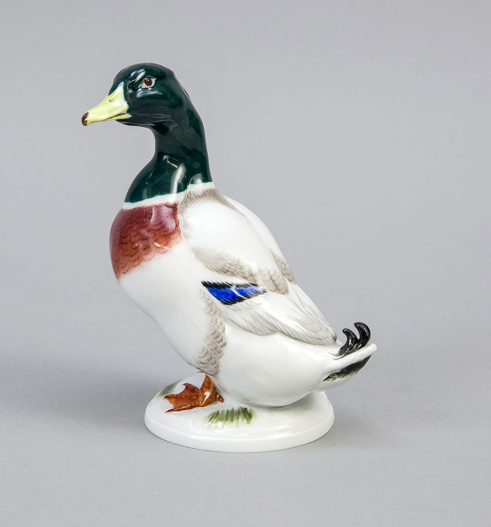 Standing Drake, Meissen, after 1973, 1st quality,: Standing Drake, Meissen, after 1973, 1st quality, designed by Erich Oehme, (1889 Neuberthelsdorf - 1970 Meissen), in 1949, in the pedestal sign. u. dat., model no. 77331, polychrome painted in natural