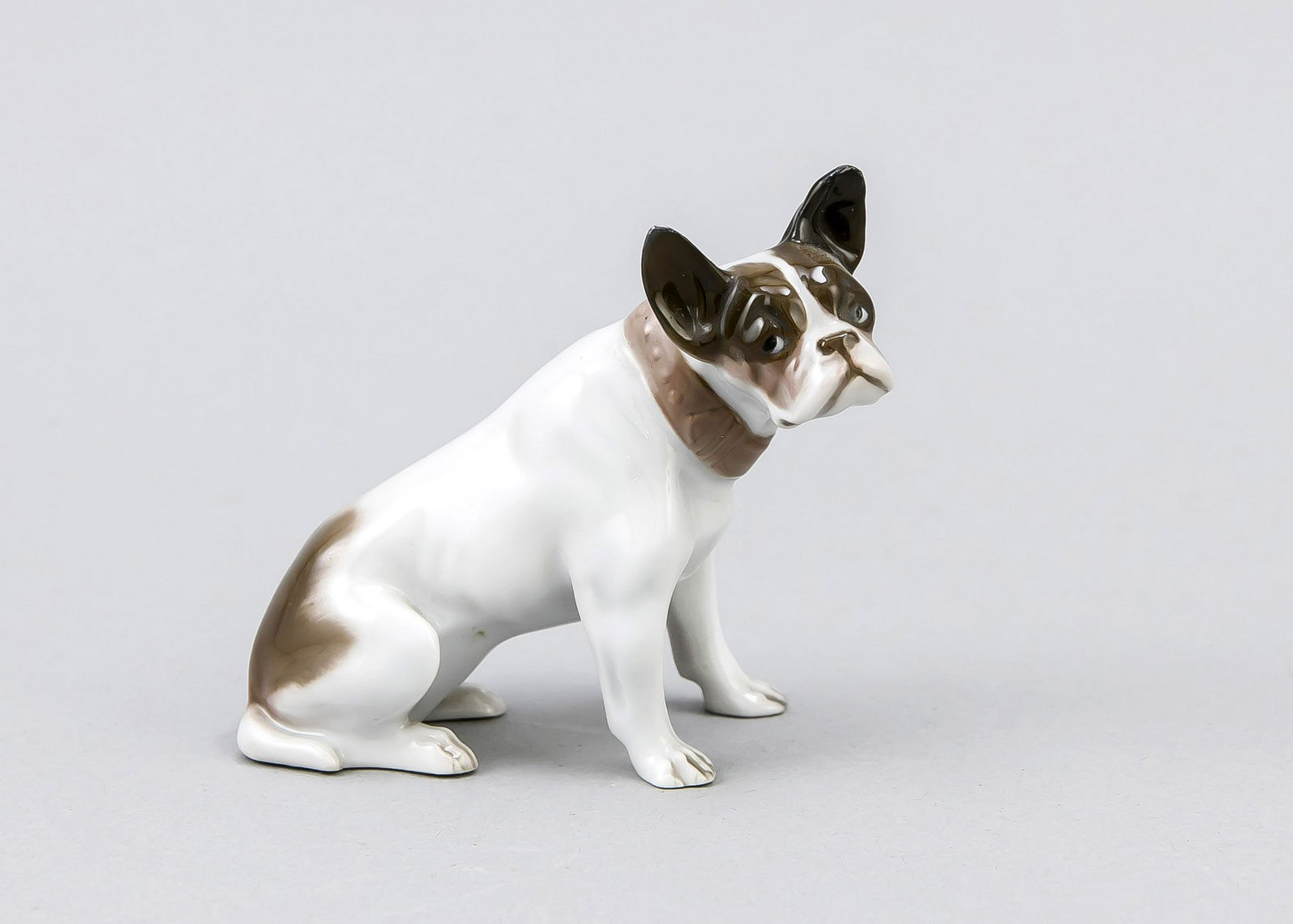 Young French Bulldog, Rosenthal, mark for Selb 1922-33,: Young French Bulldog, Rosenthal, mark for Selb 1922-33, designed by Fritz Diller, model no. 286, naturalistic underglaze painting, sitting, h. 9 cm