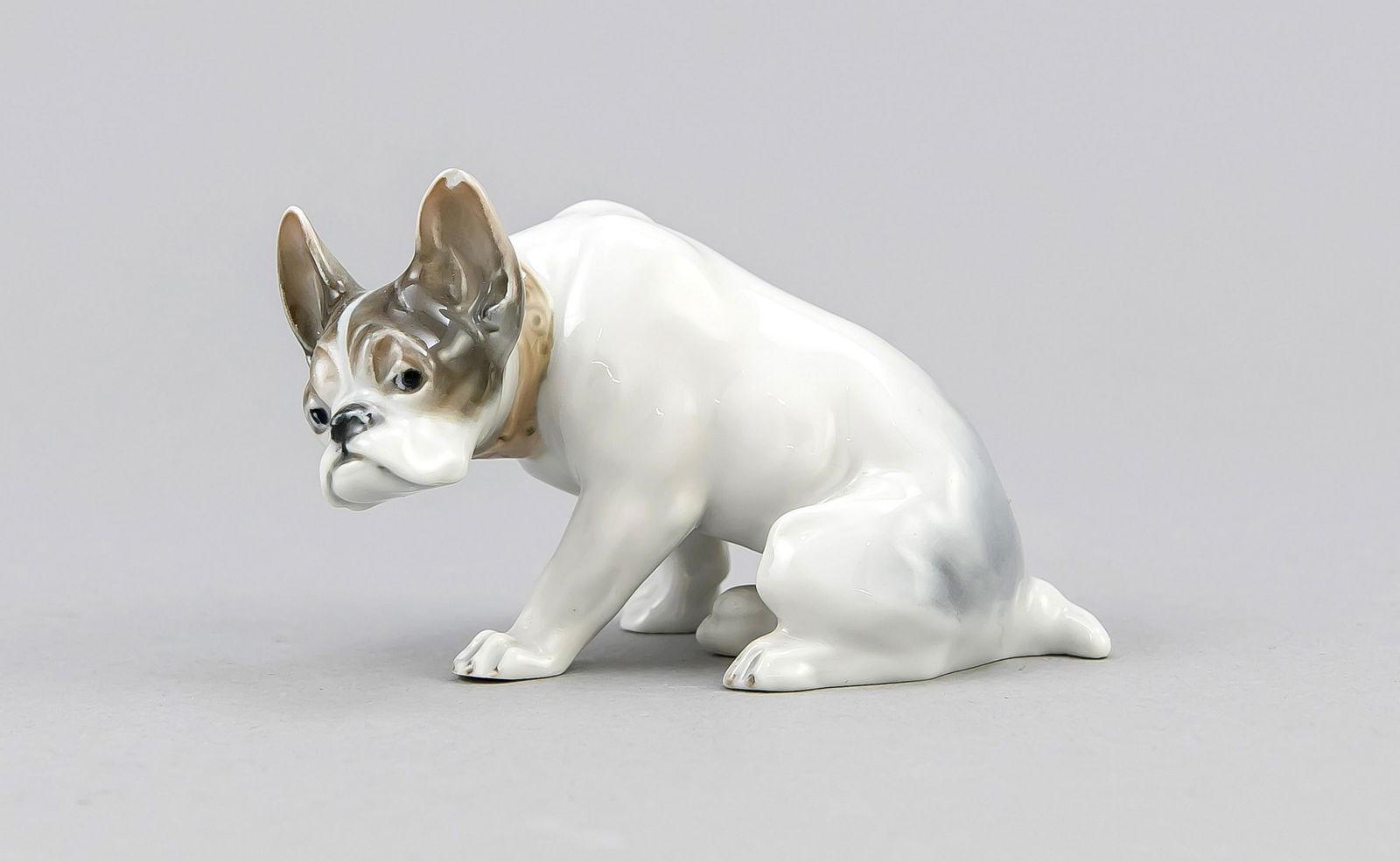 French Bulldog, Rosenthal, Selb, 1920s, designed by: French Bulldog, Rosenthal, Selb, 1920s, designed by Fritz Diller in 1913, model no. K 308, naturalistically painted in underglaze colors, min. Chip on the ear, L. 10 cm