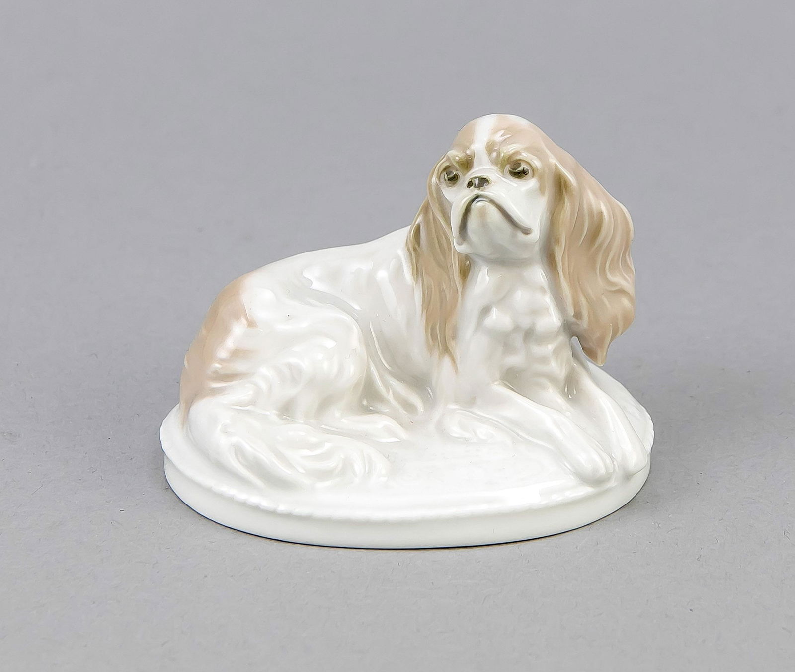 King Charles, Rosenthal,: King Charles, Rosenthal, Art Department Selb-Bavaria, mark for 1922-33, designed by Fritz Diller (1875-1945) in 1913, signed in the pedestal, model no. K 287, sitting Pekingese on oval pedestal, natur