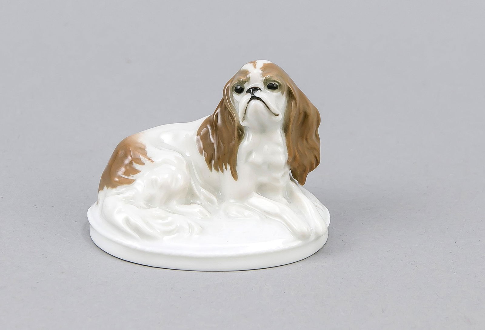 King Charles, Rosenthal,: King Charles, Rosenthal, Art Department Selb-Bavaria, 1st WW, stamp for 1914, designed by Fritz Diller (1875-1945) in year 1913, signed in the pedestal, model no. K 287, sitting Pekingese on an oval b