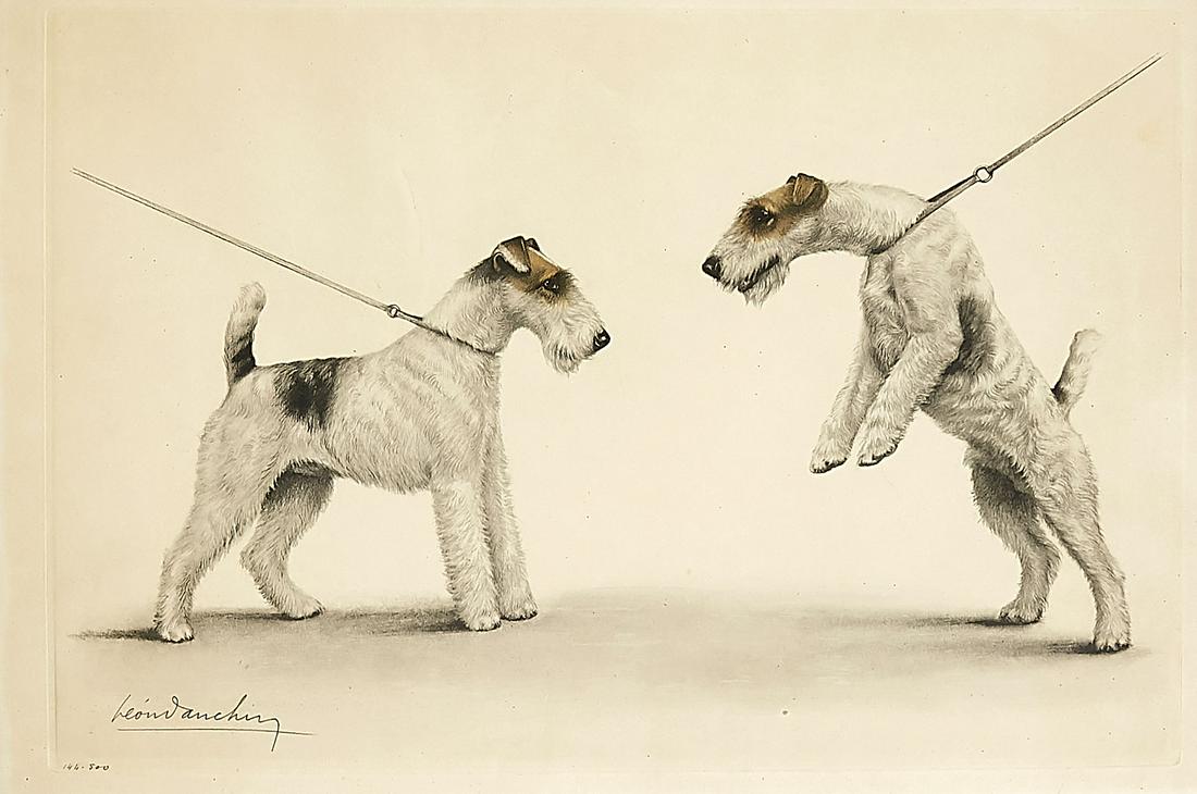 Léon Danchin (1887-1938),: Léon Danchin (1887-1938), French animal painter a. Graphic artist, two Fox Terriers, discreet col. Etching (vernis mou), u. li. Signed in the plate, num. 144-500, on the other hand mounting parts