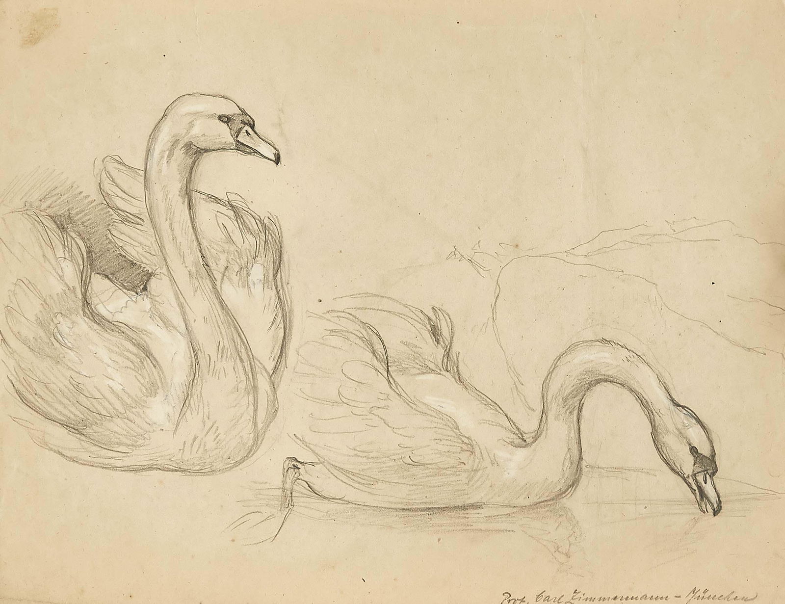 Carl Zimmermann (1863-193 (1 of 3)