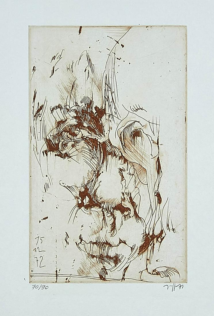 Horst Janssen (1929-1995): Horst Janssen (1929-1995), self-portrait from the episode ''Hanno's Tod'', one of Janssen's major works, in which he approaches the chapter on Hanno's death in Thomas Mann's ''Buddenbrooks'' by means