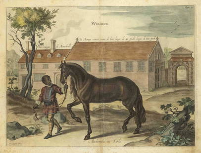 Lucas Vorsterman after Abraham: Lucas Vorsterman after Abraham van Diepenbeeck (1596-1675), ''Mackomilia un Turke'', col. copperplate engraving from ''Méthode et invention nouvelle de dresser les chevaux'' by W. Cavendish, Antwer