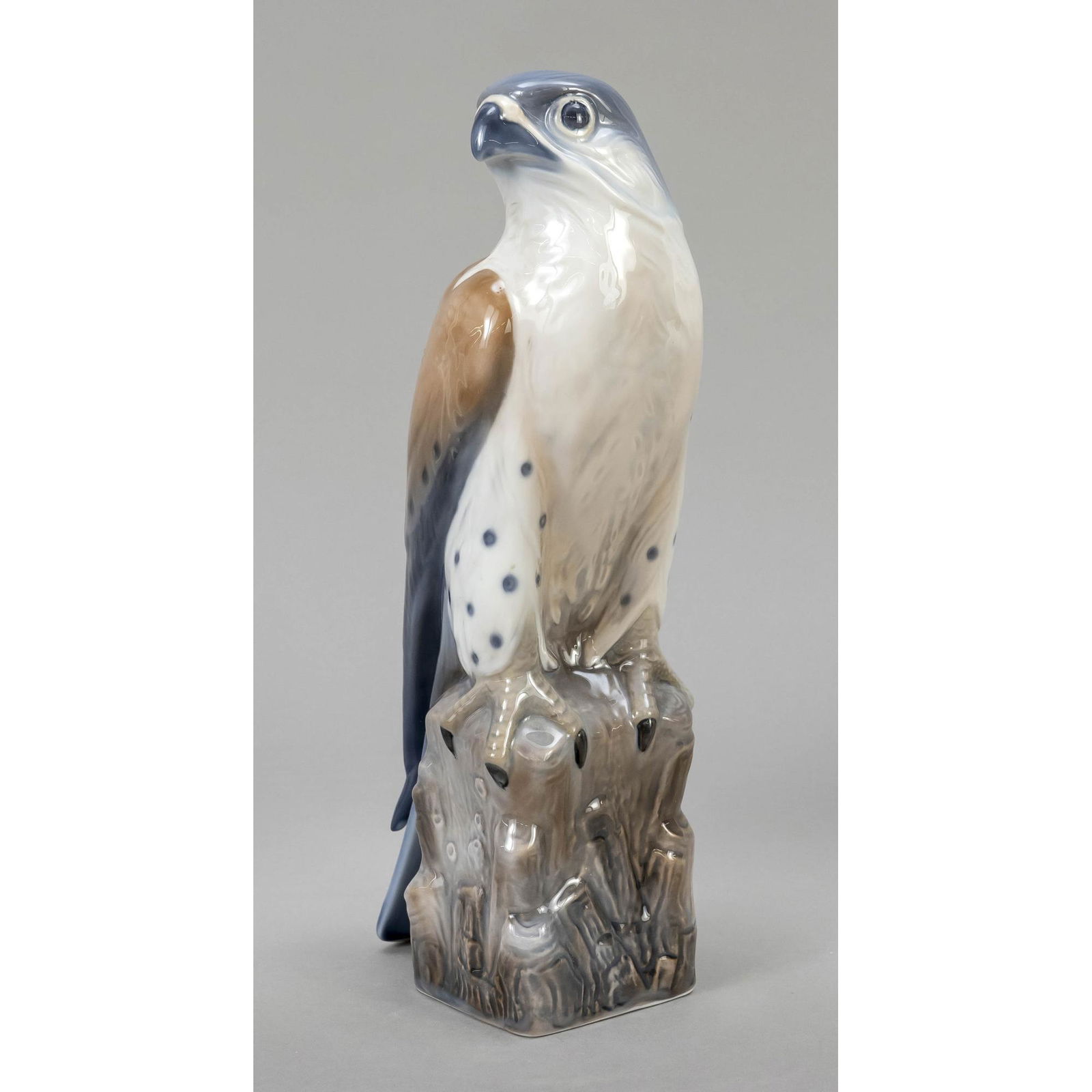 Peregrine falcon, Lyngby, Copenhagen (1 of 1)