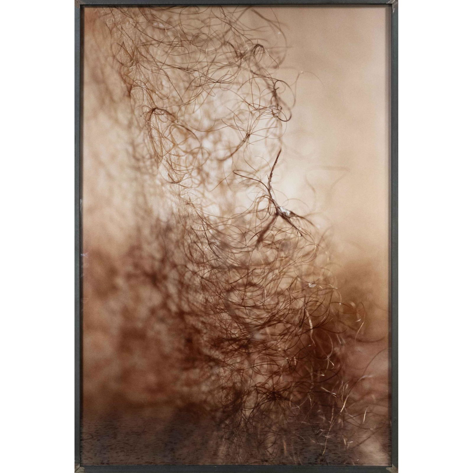 Thomas Florschuetz (*1957), u: Thomas Florschuetz (*1957), untitled, large C print on aludibond 1993/95, signed on the reverse, dated and numbered 1/2, behind glass in heavy iron framing 153 x 102 cm