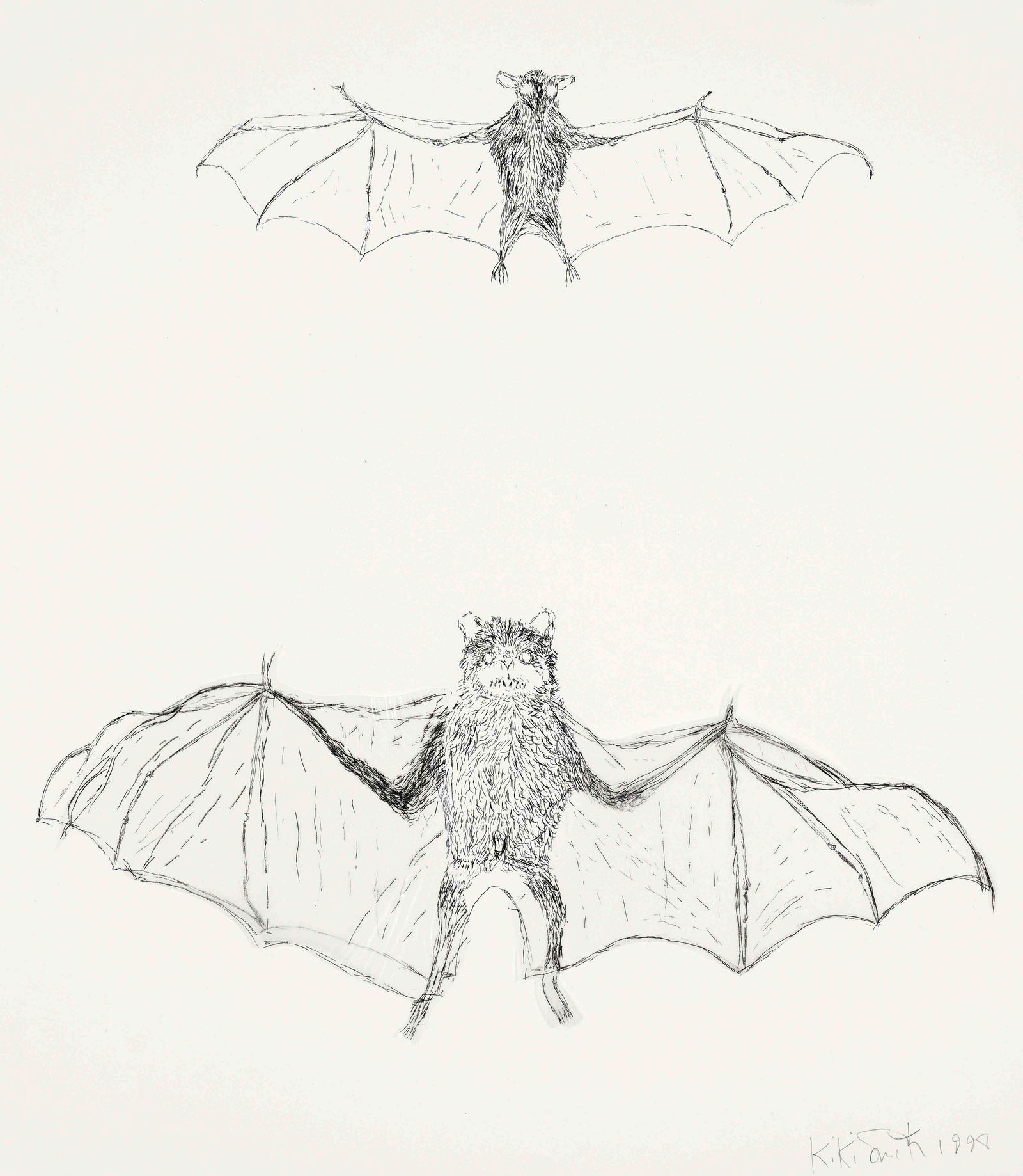 Smith, Kiki. 1954 Nuremberg - lives and works in New York. bat. 1998. lithograph with collaged: Smith, Kiki. 1954 Nuremberg - lives and works in New York. bat. 1998. lithograph with collaged glassine paper parts as wing/velin, signed and dated Kiki Smith 1998 in lower right corner, loosely enclo