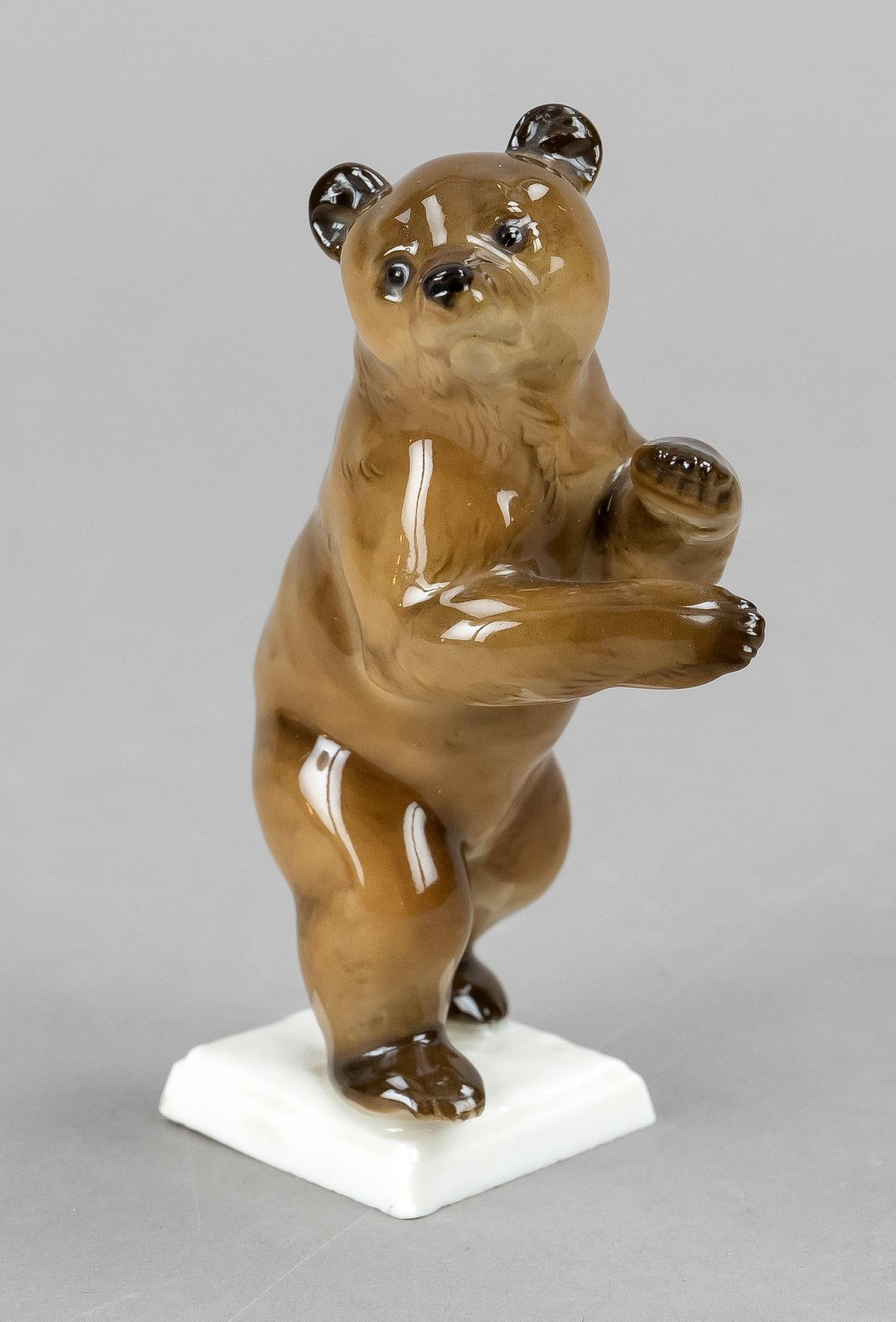 Standing young bear, Hutschenr: Standing young bear, Hutschenreuther, Selb, mark 1887-1920, design Gunther R. Granget, signed in the bottom, painted in underglaze brown, h. 9,5 cm