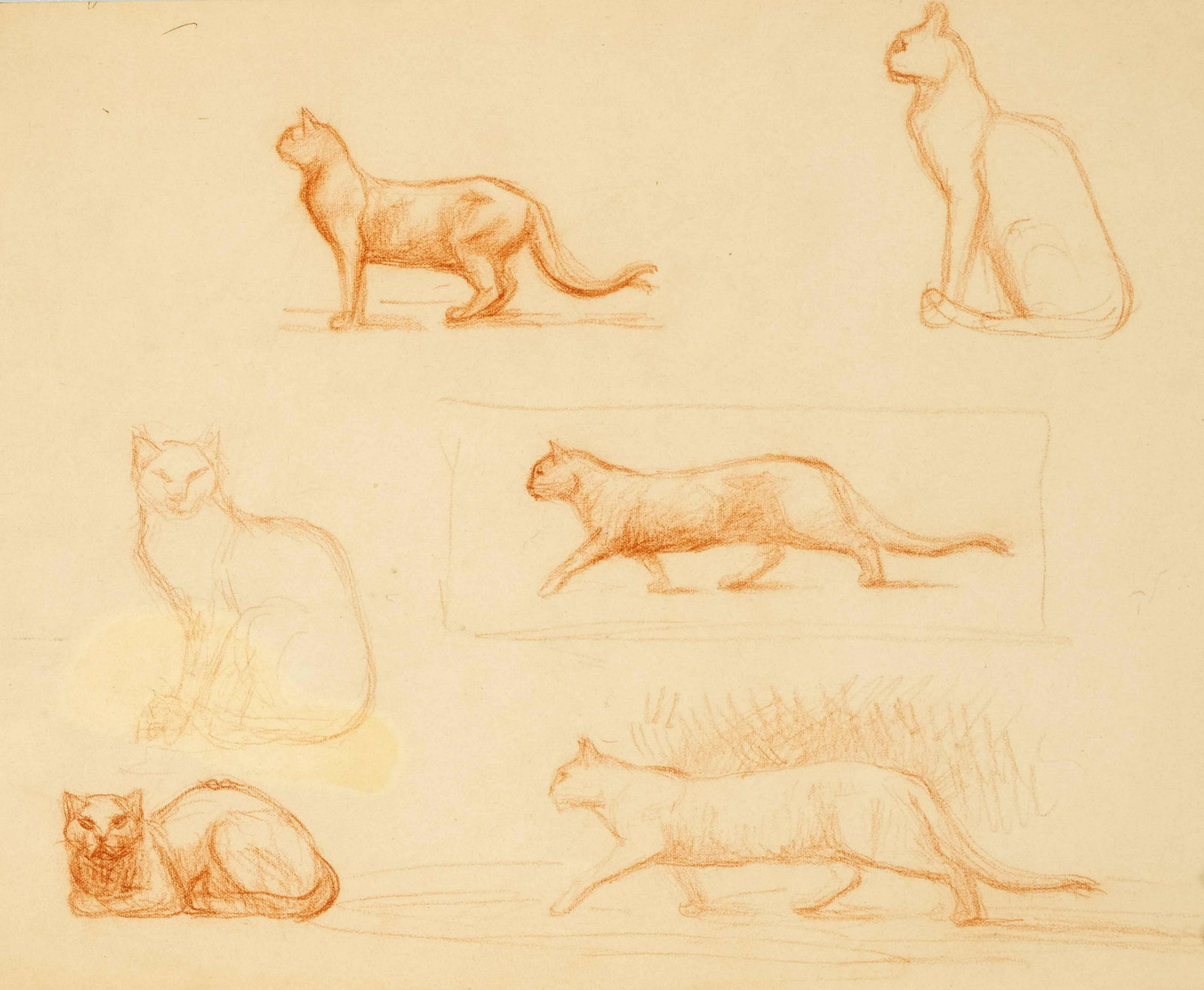 Mixed lot of 4 drawings by differen: Mixed lot of 4 drawings by different artists of the 20th century: August Kraus (1868-1934) (attrib.), cat studies, pen drawing, signed, Richard Heß (1937-2017), female nude, pencil drawing on car
