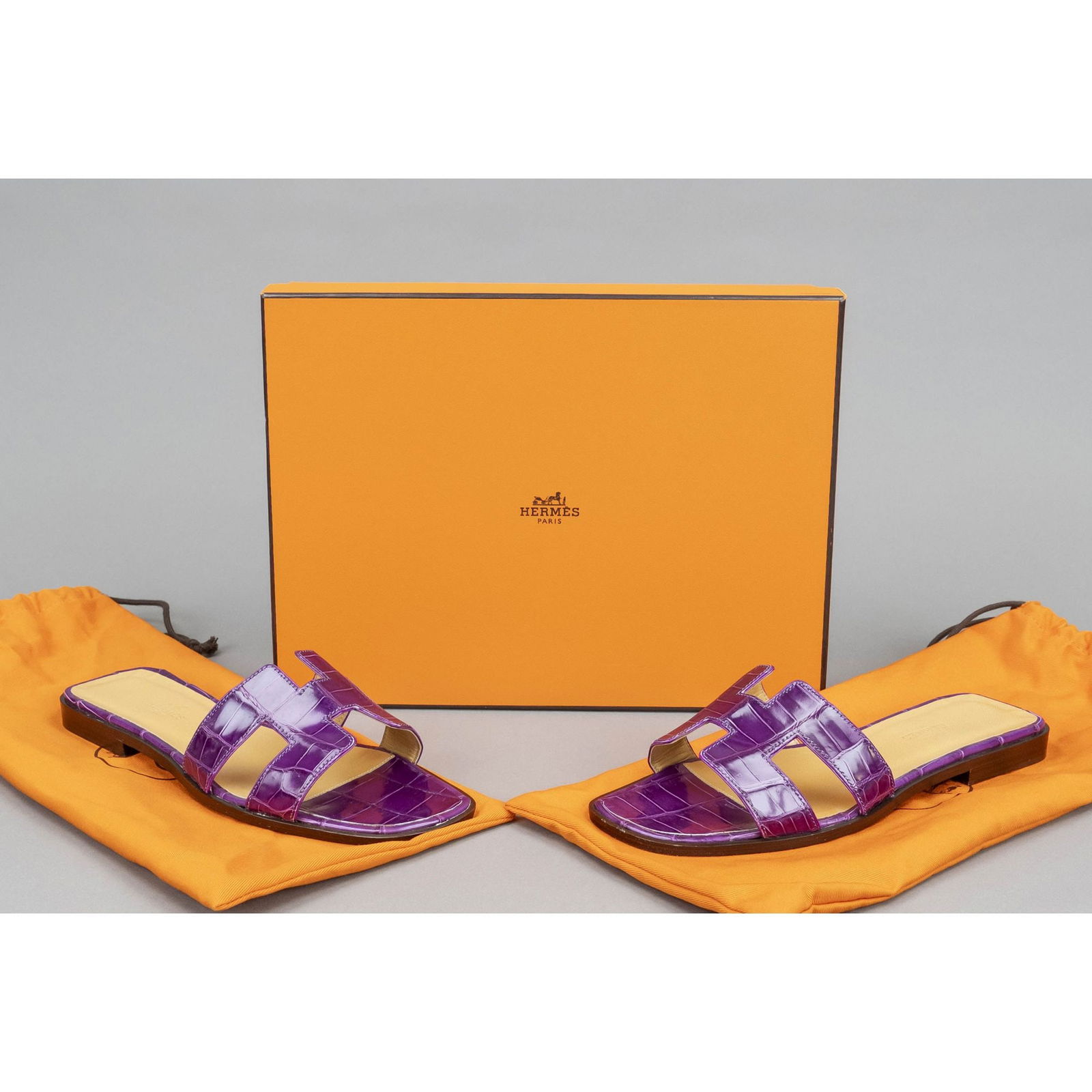 Hermes, mules, purple crocodile le (1 of 1)