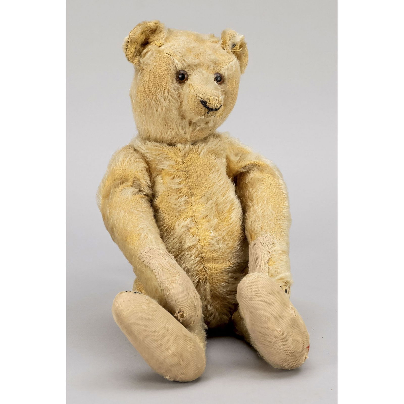 Steiff teddy bear, Germany, around (1 of 1)