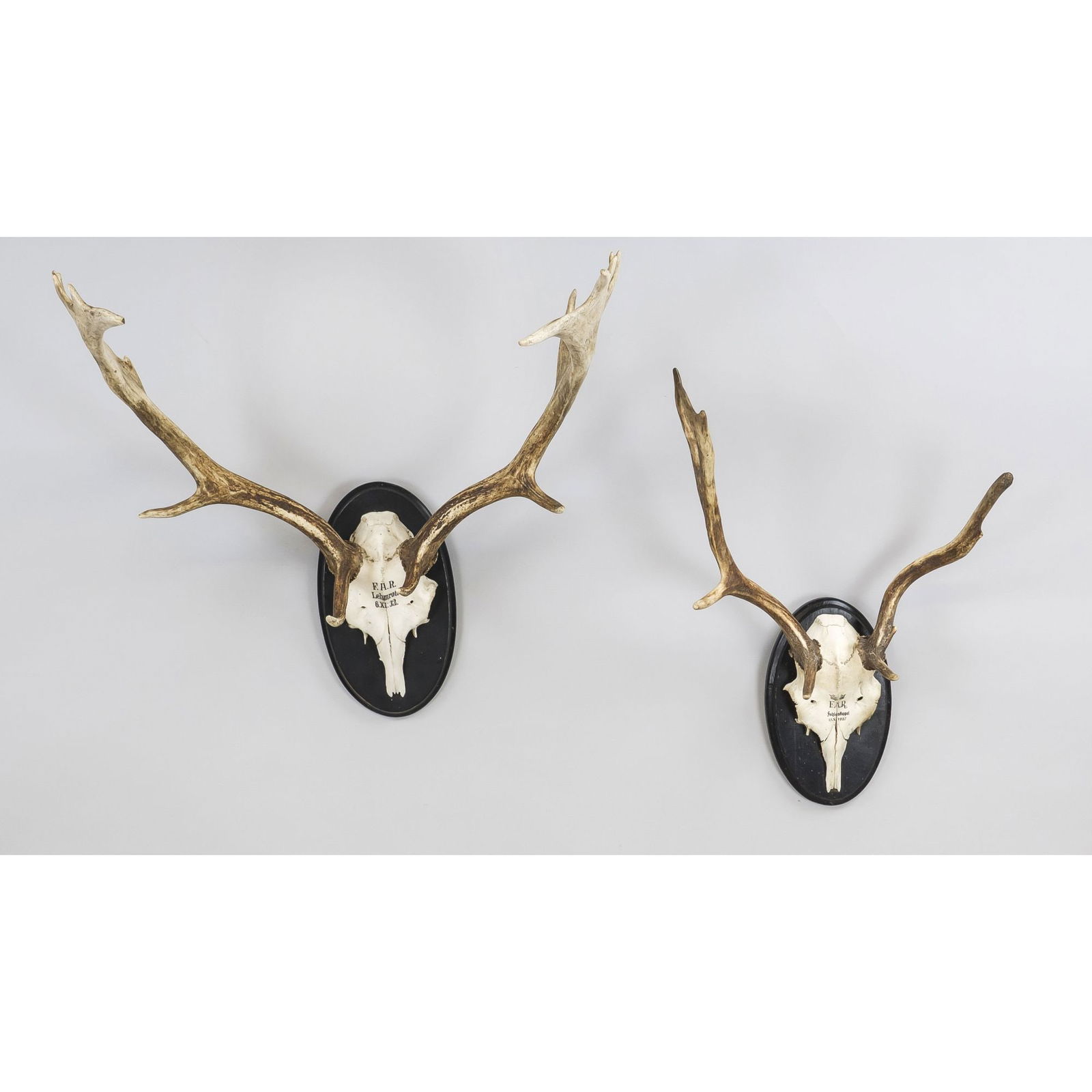 2 antlers, mounted on carved, b (1 of 1)